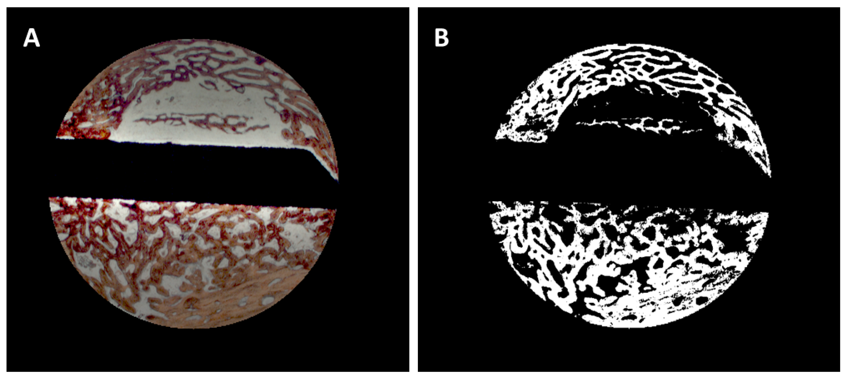 Preprints 145395 g002