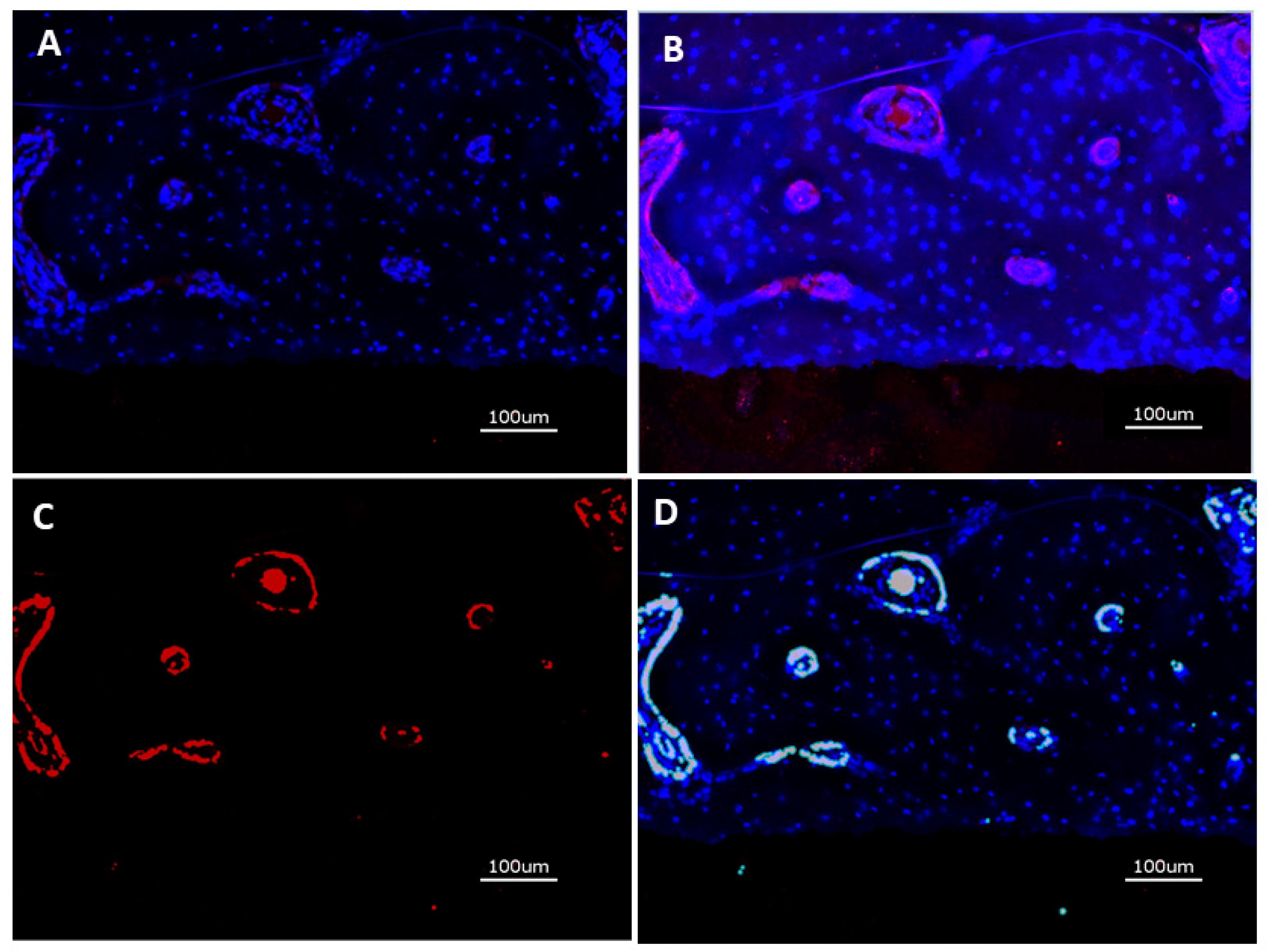 Preprints 145395 g003