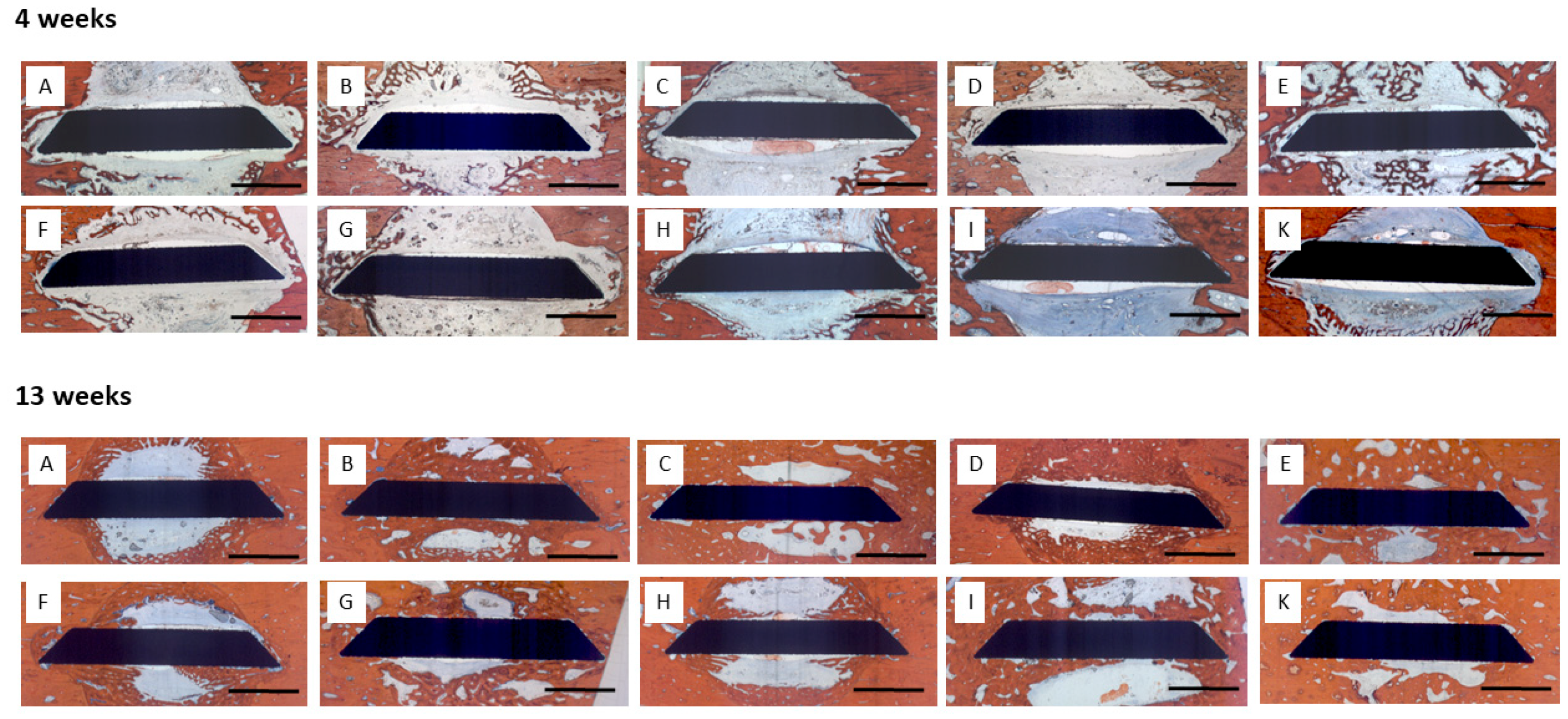 Preprints 145395 g004