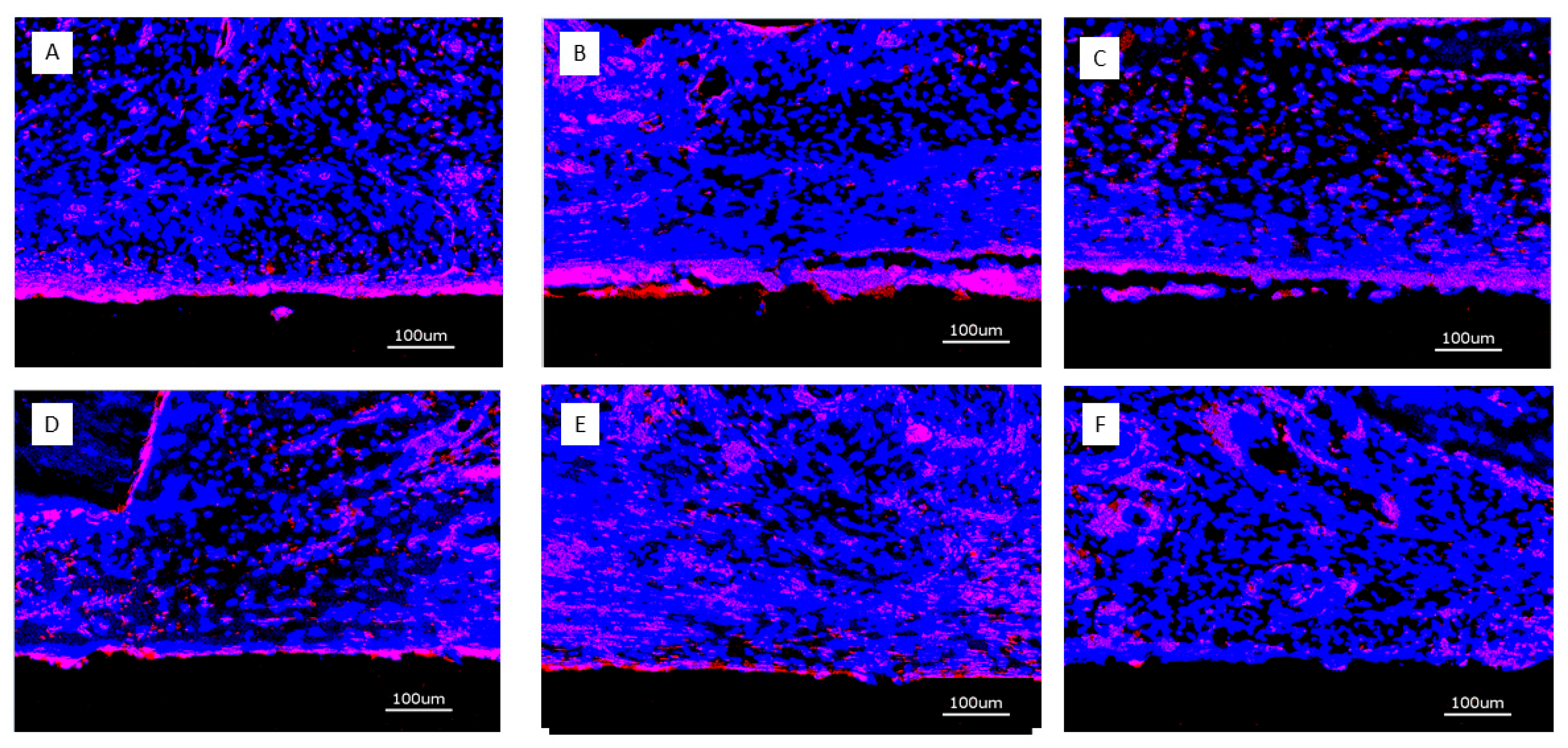 Preprints 145395 g009