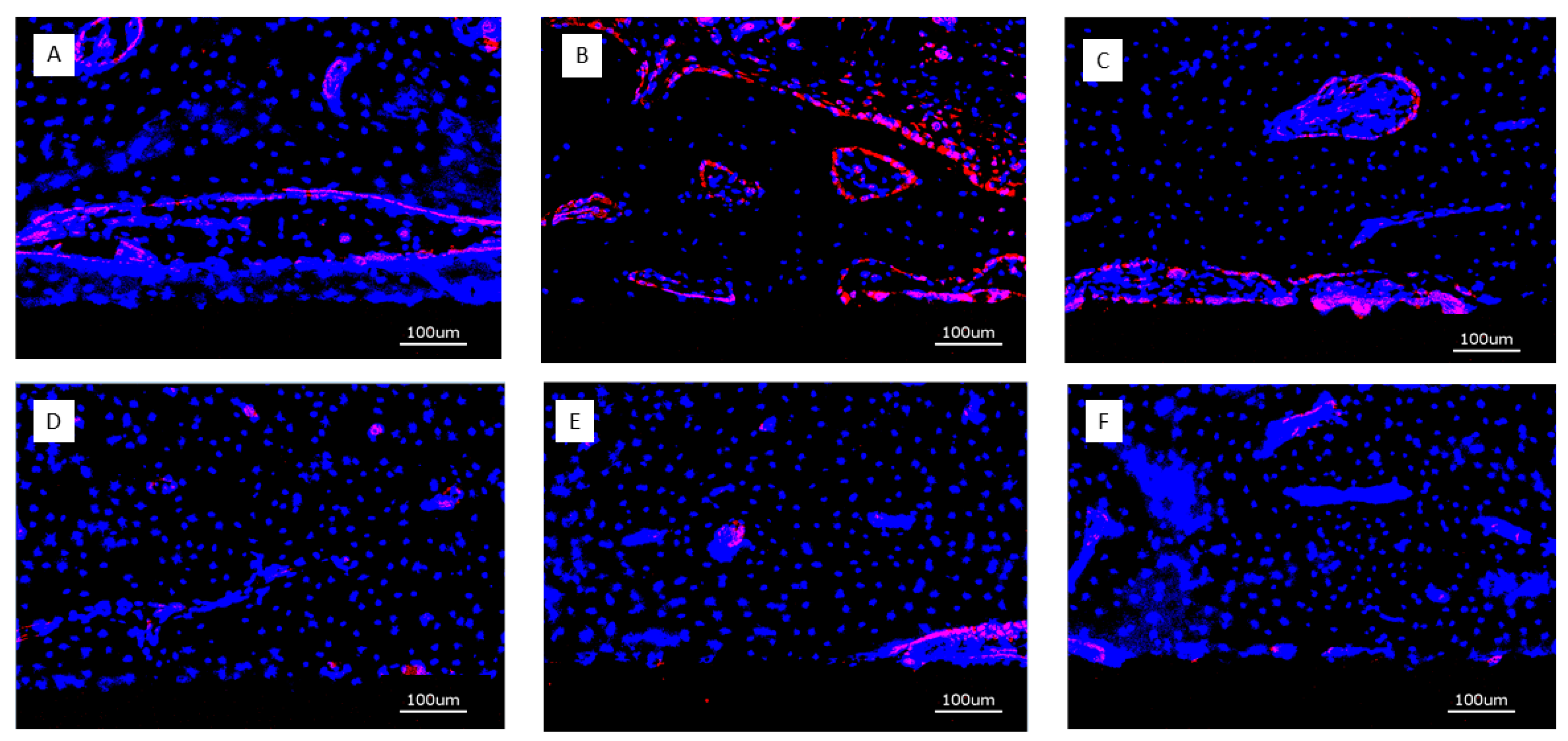 Preprints 145395 g010