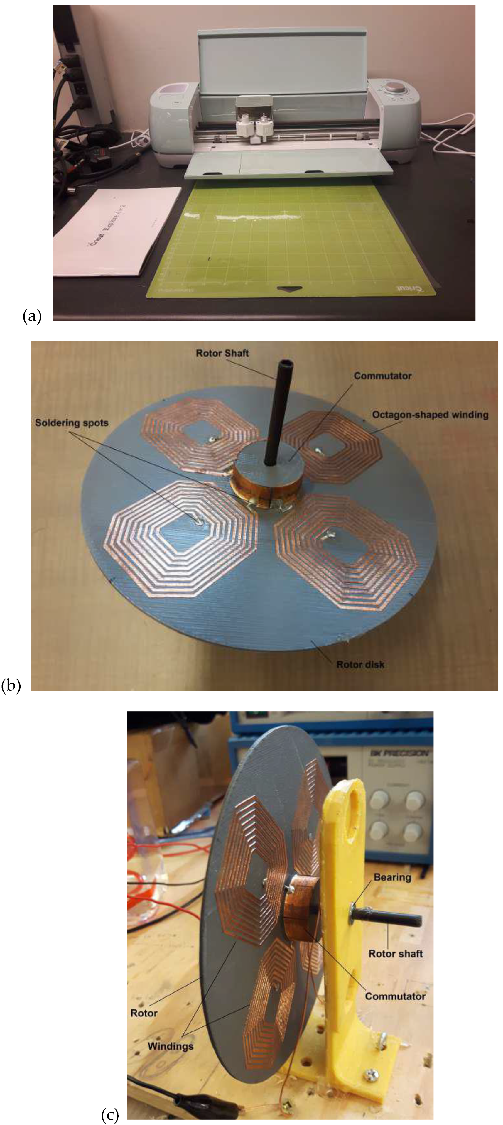 Preprints 164166 g017
