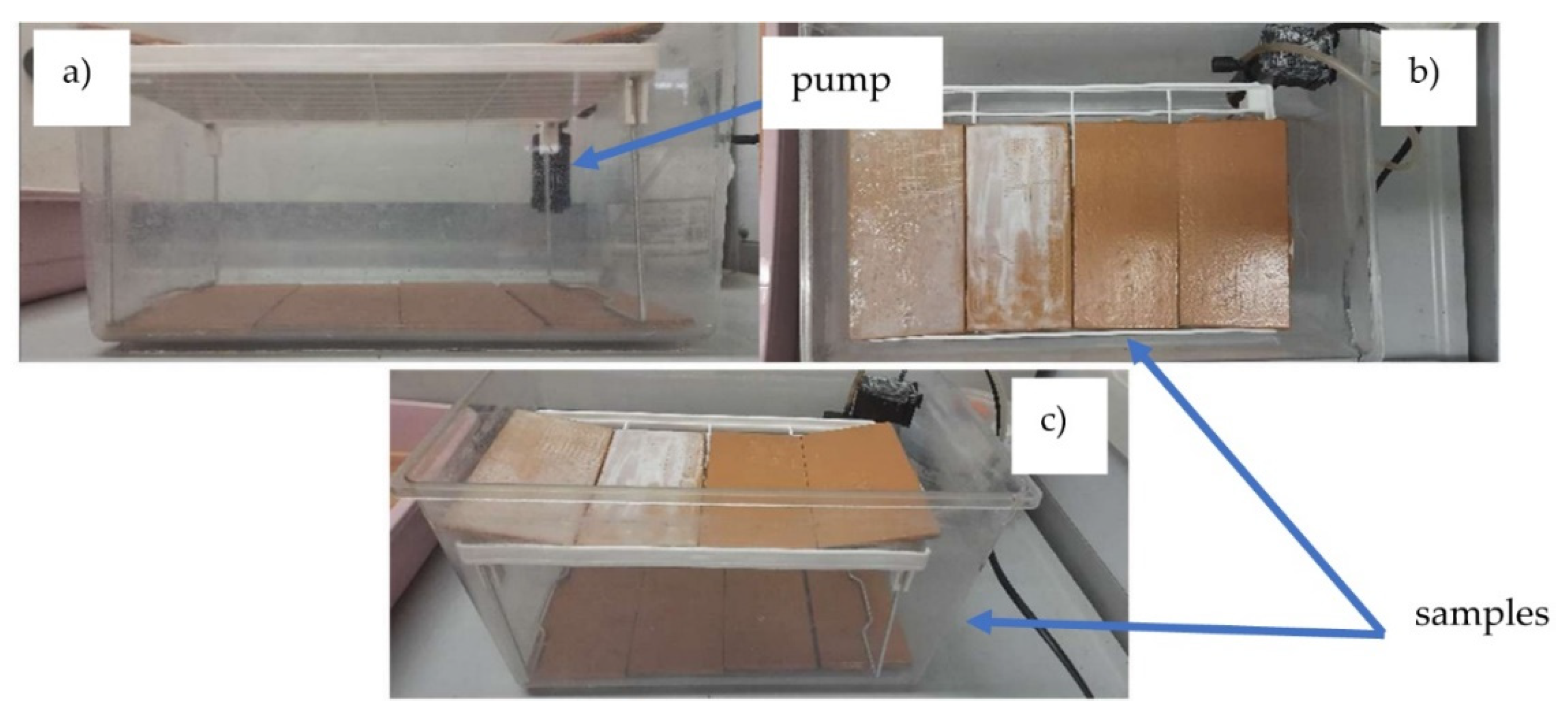 Preprints 143348 g002