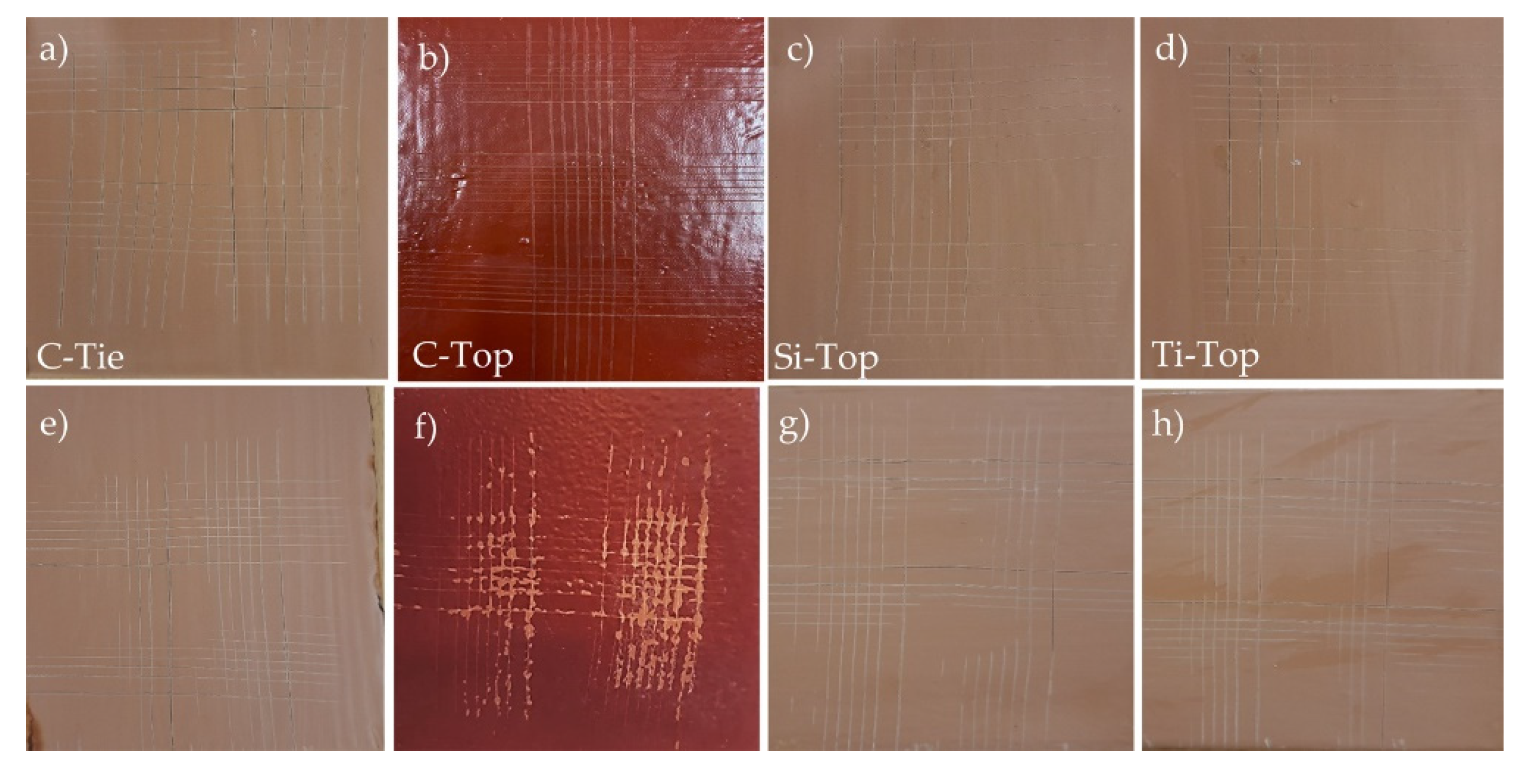 Preprints 143348 g011