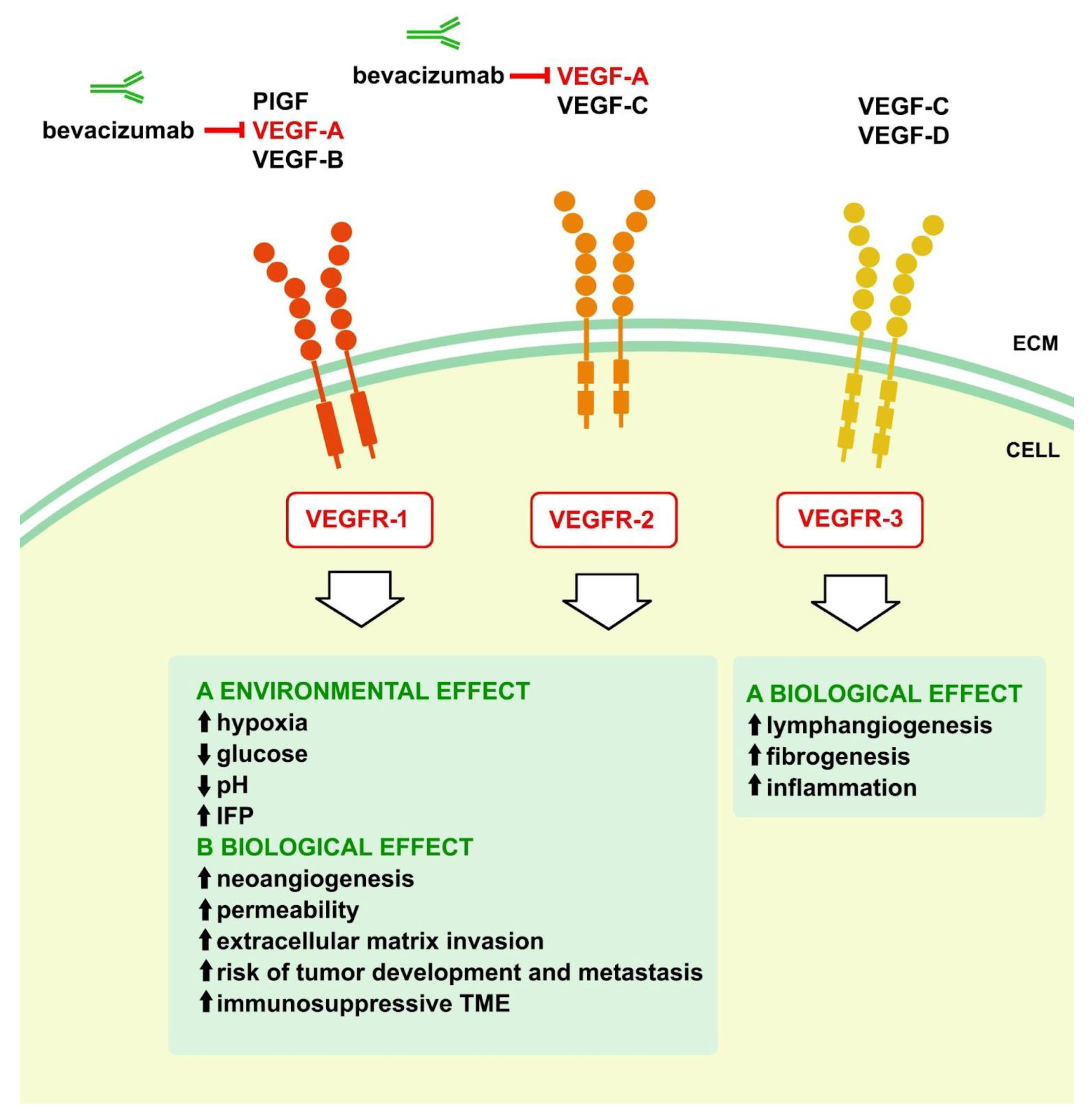 Preprints 99201 g001