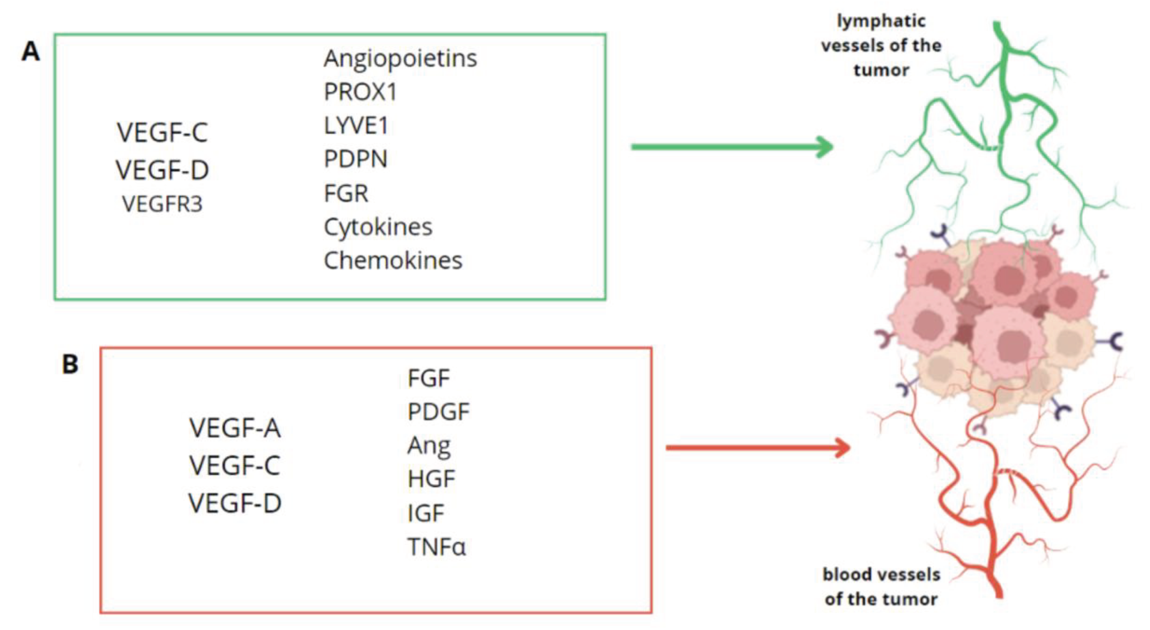 Preprints 99201 g002