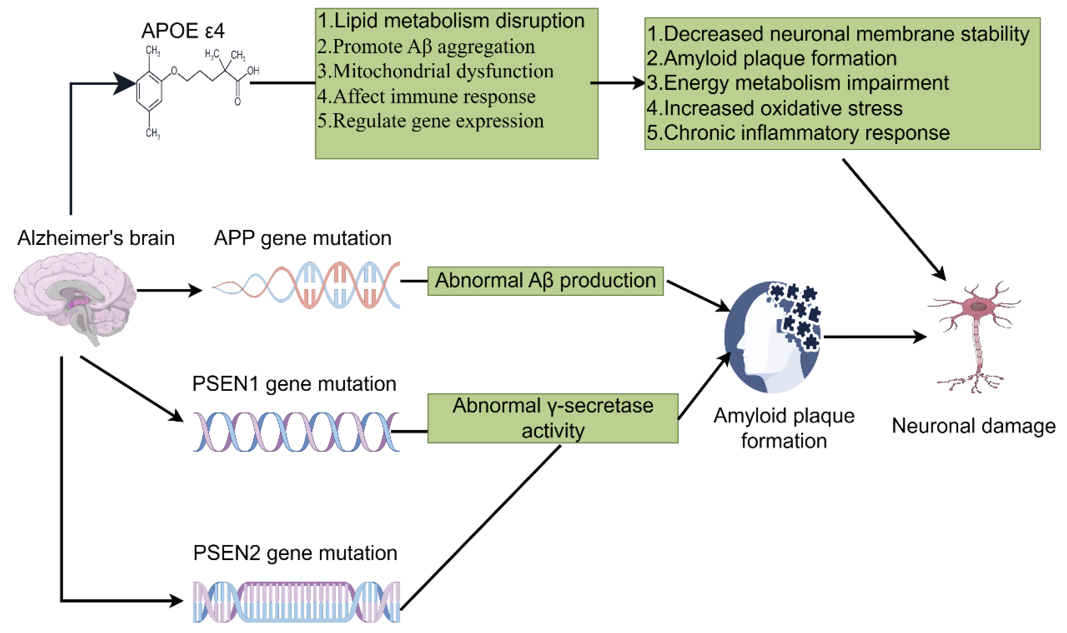 Preprints 145895 g001