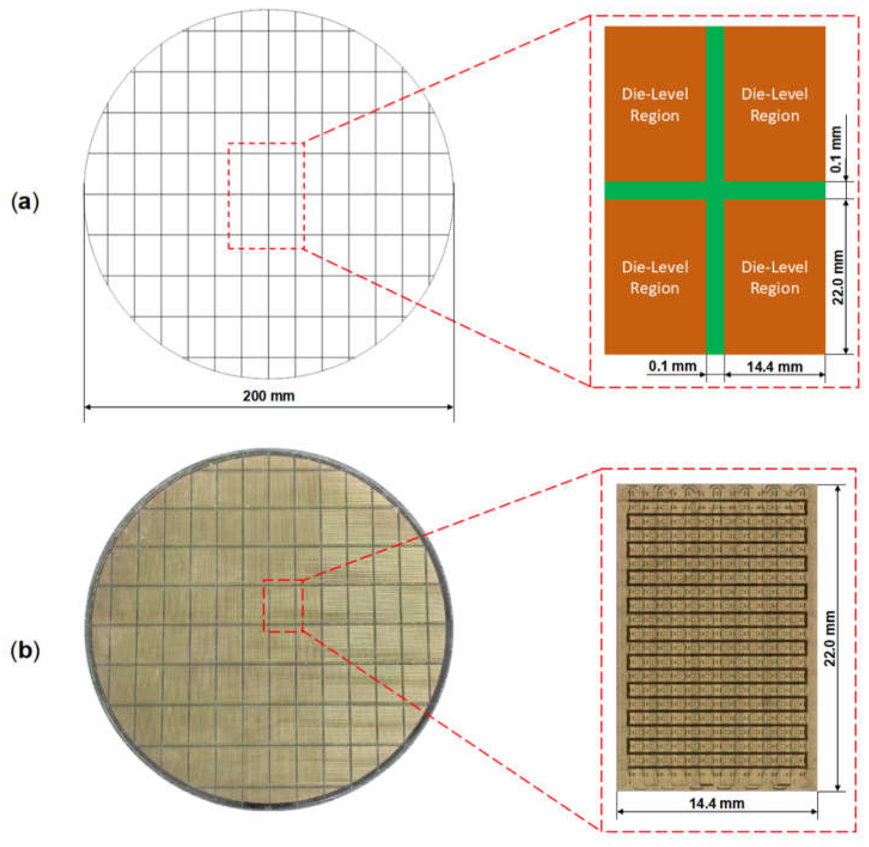 Preprints 155454 g002