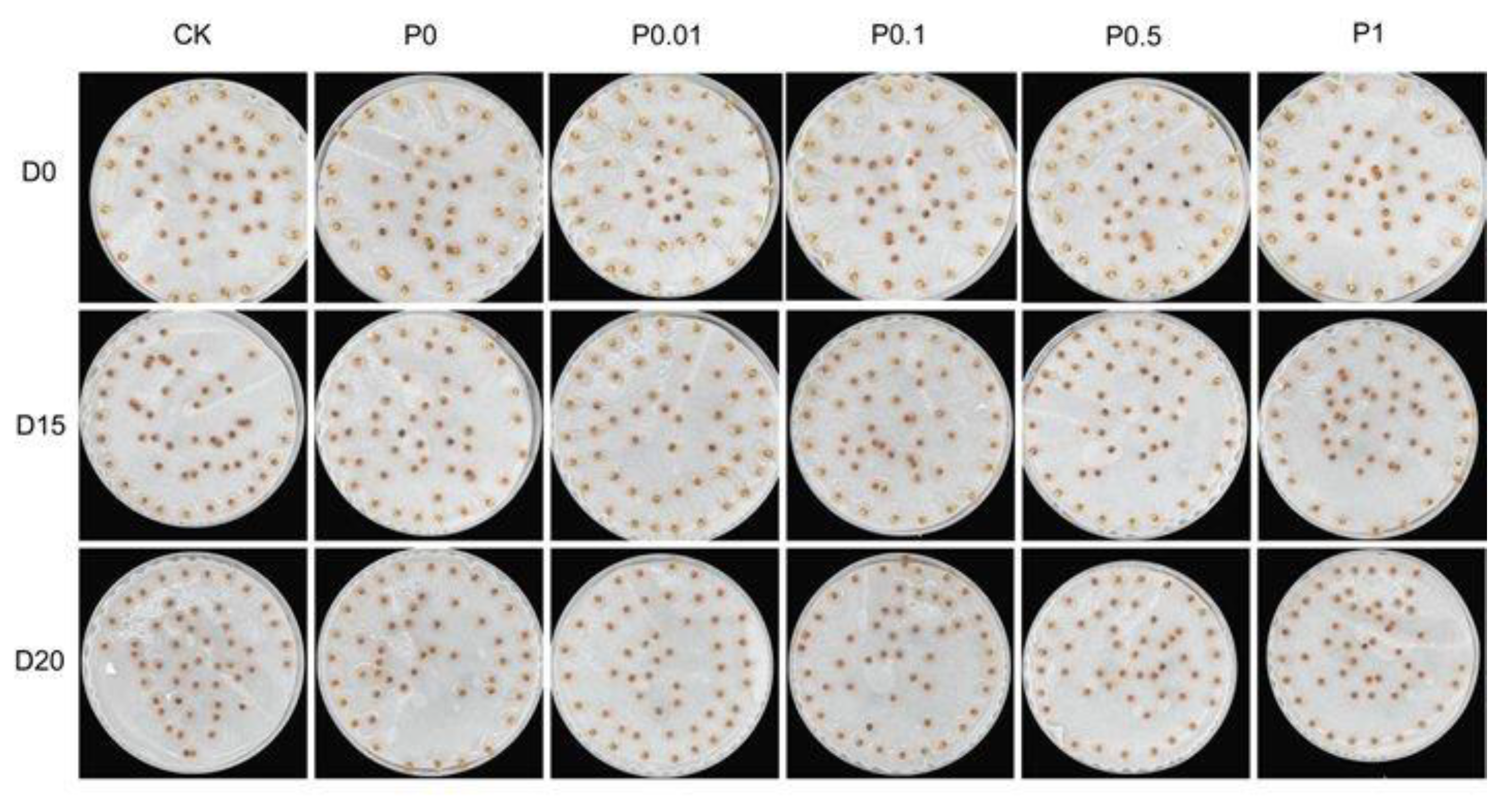 Preprints 206508 g001