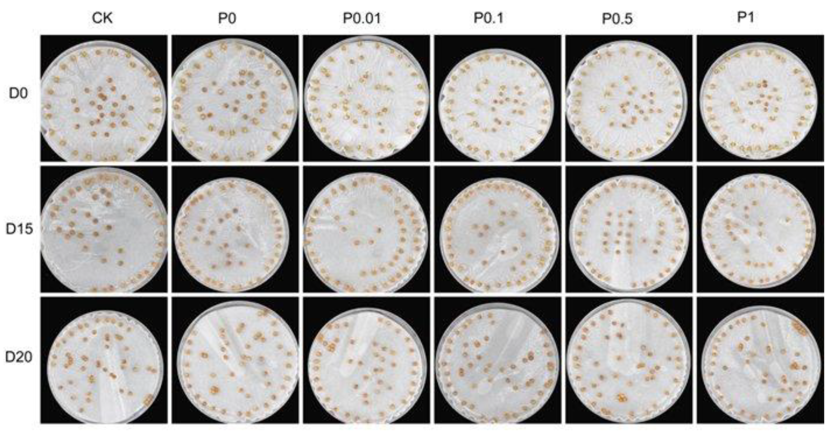 Preprints 206508 g002