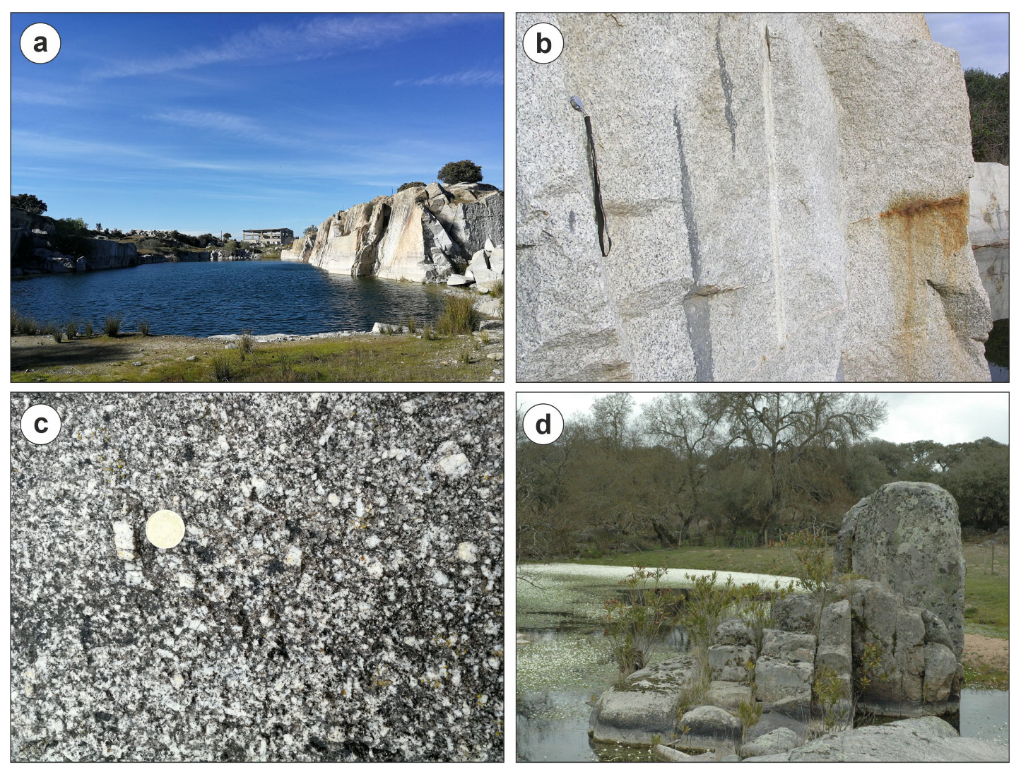 Preprints 140185 g003