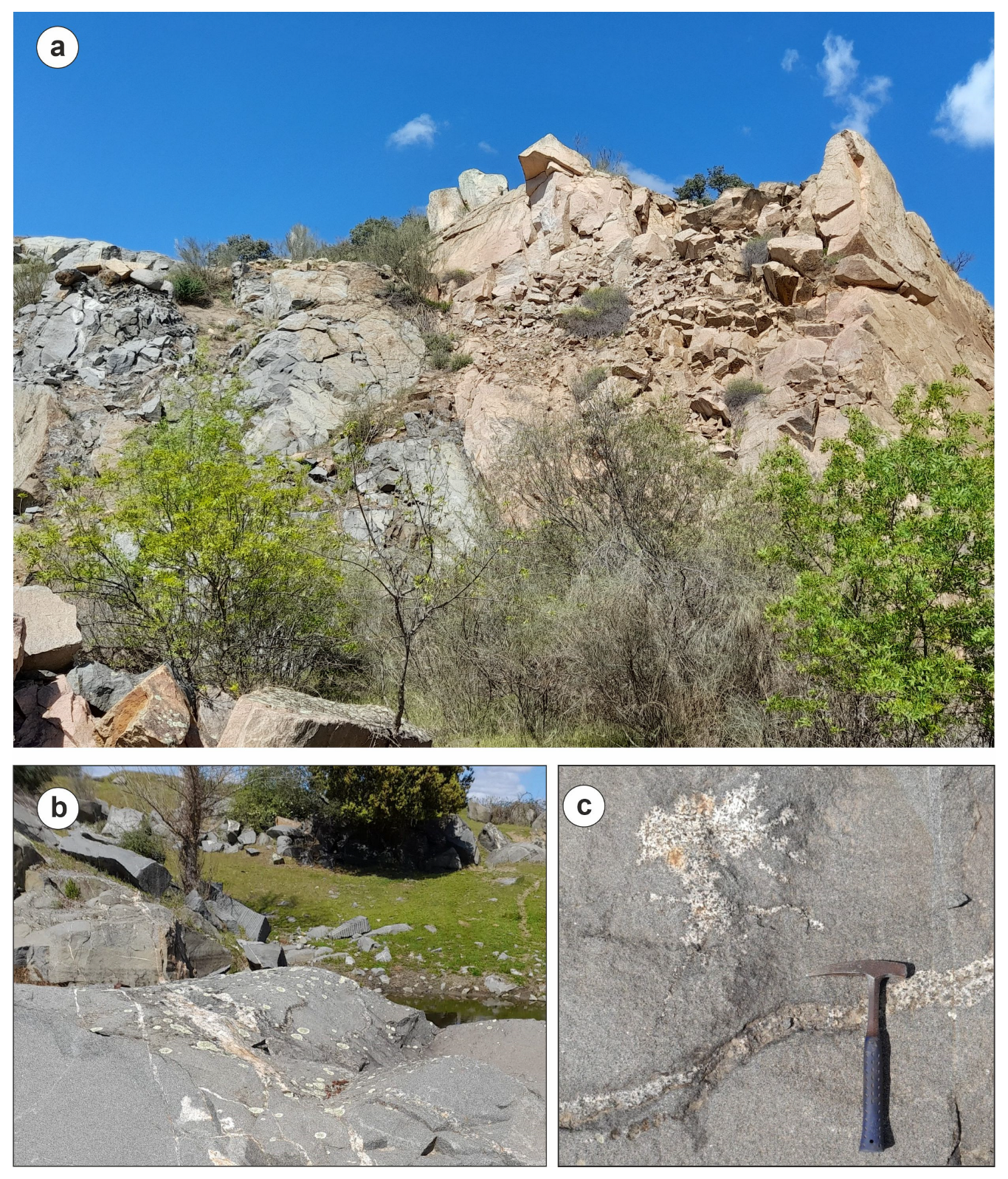 Preprints 140185 g005