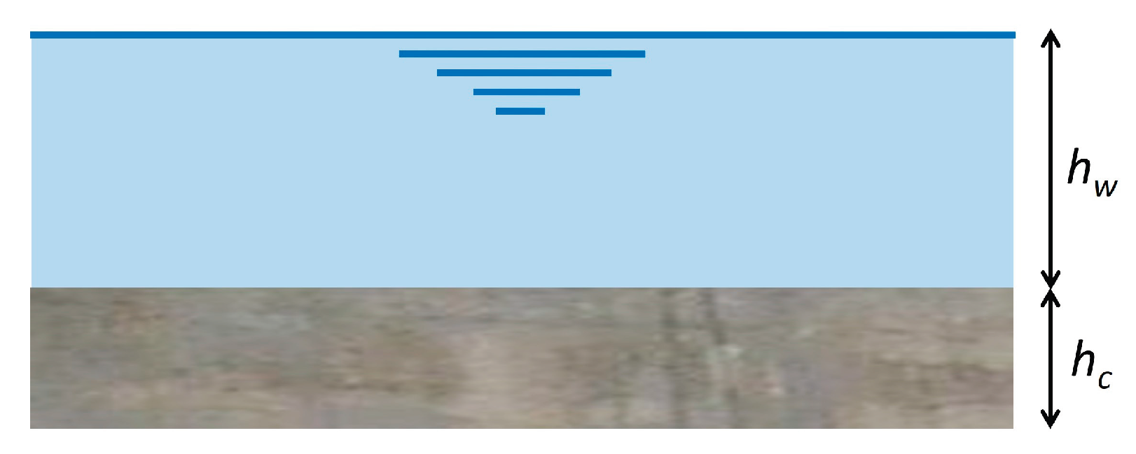 Preprints 184879 g001