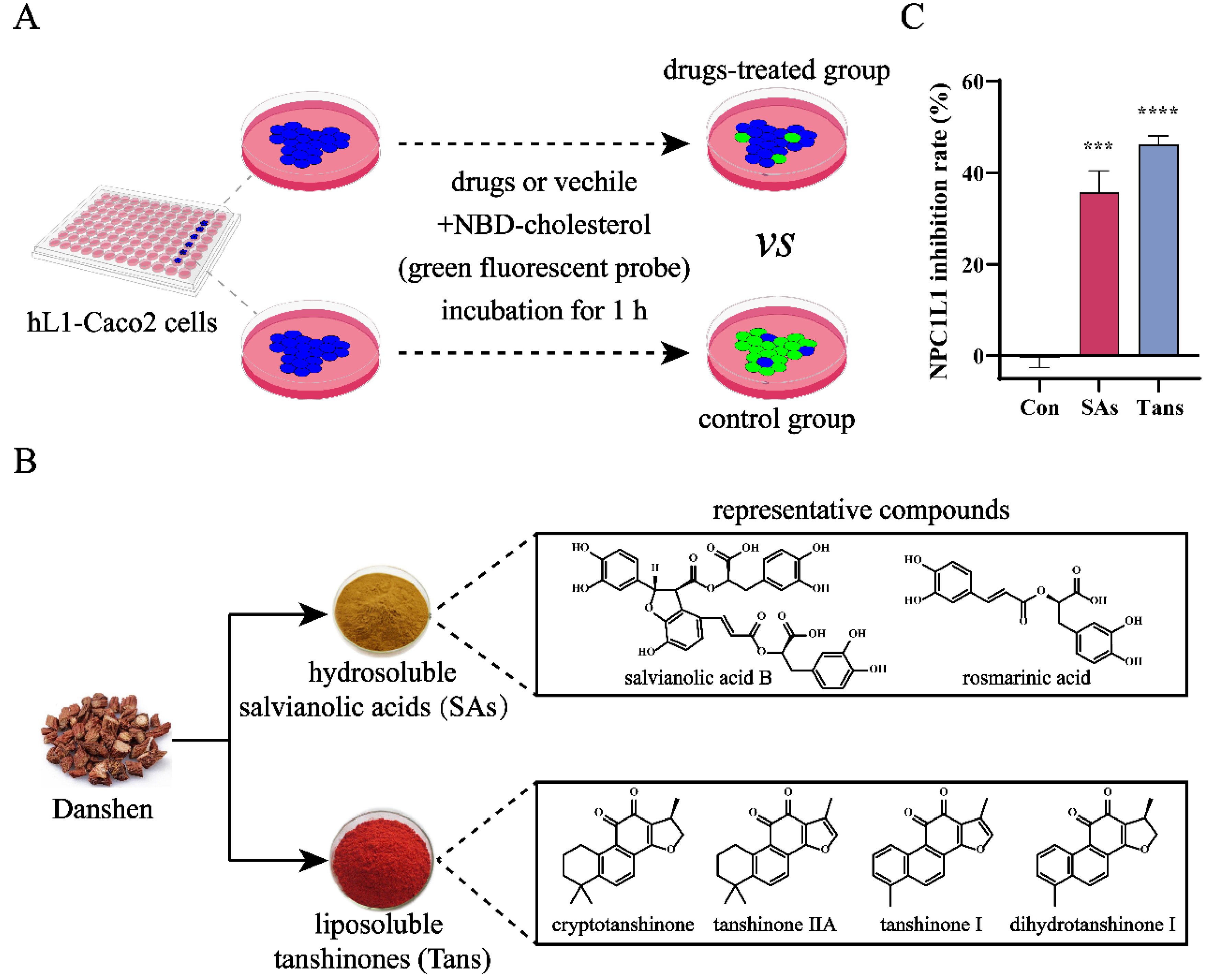 Preprints 147742 g001