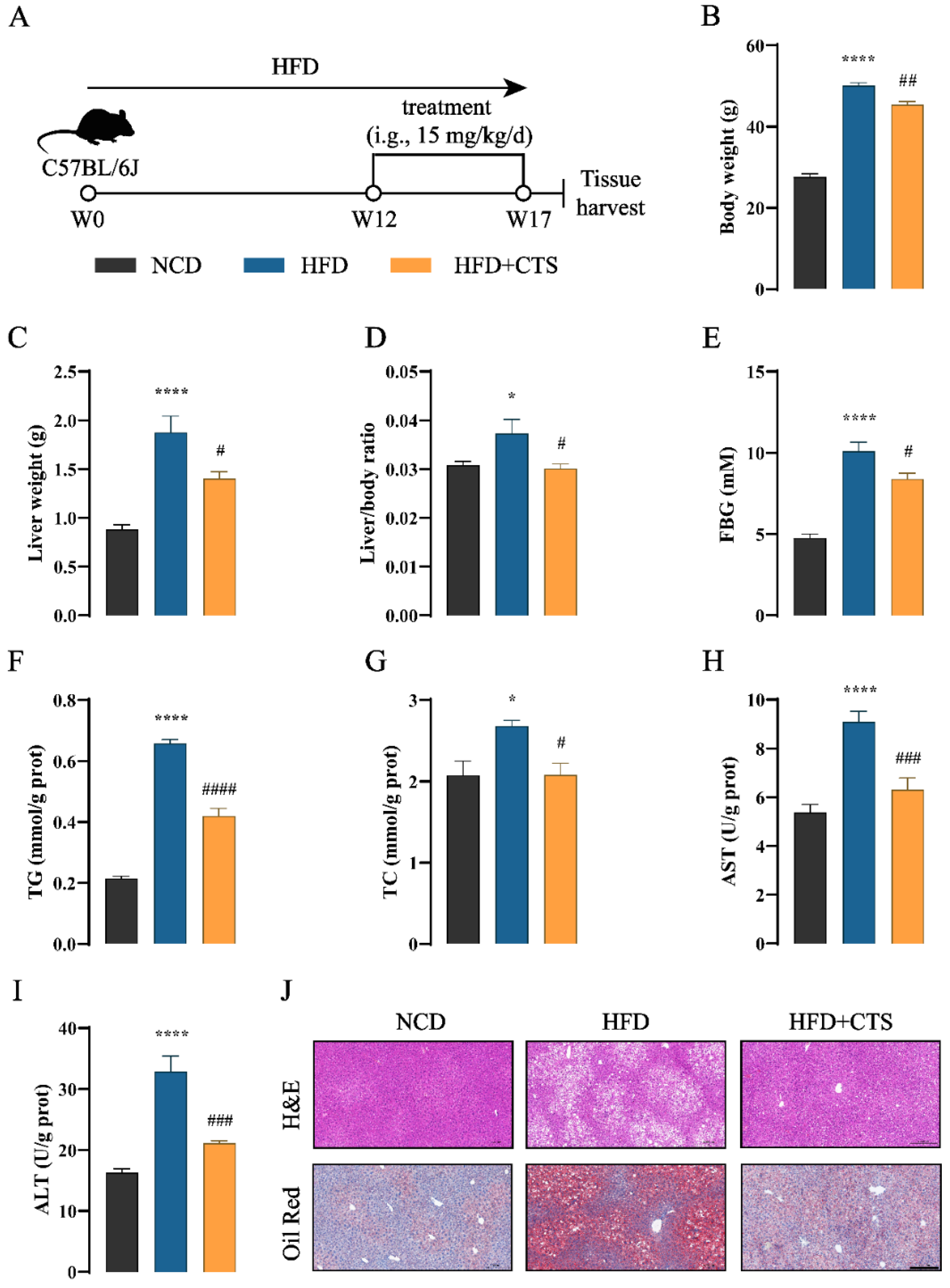 Preprints 147742 g004