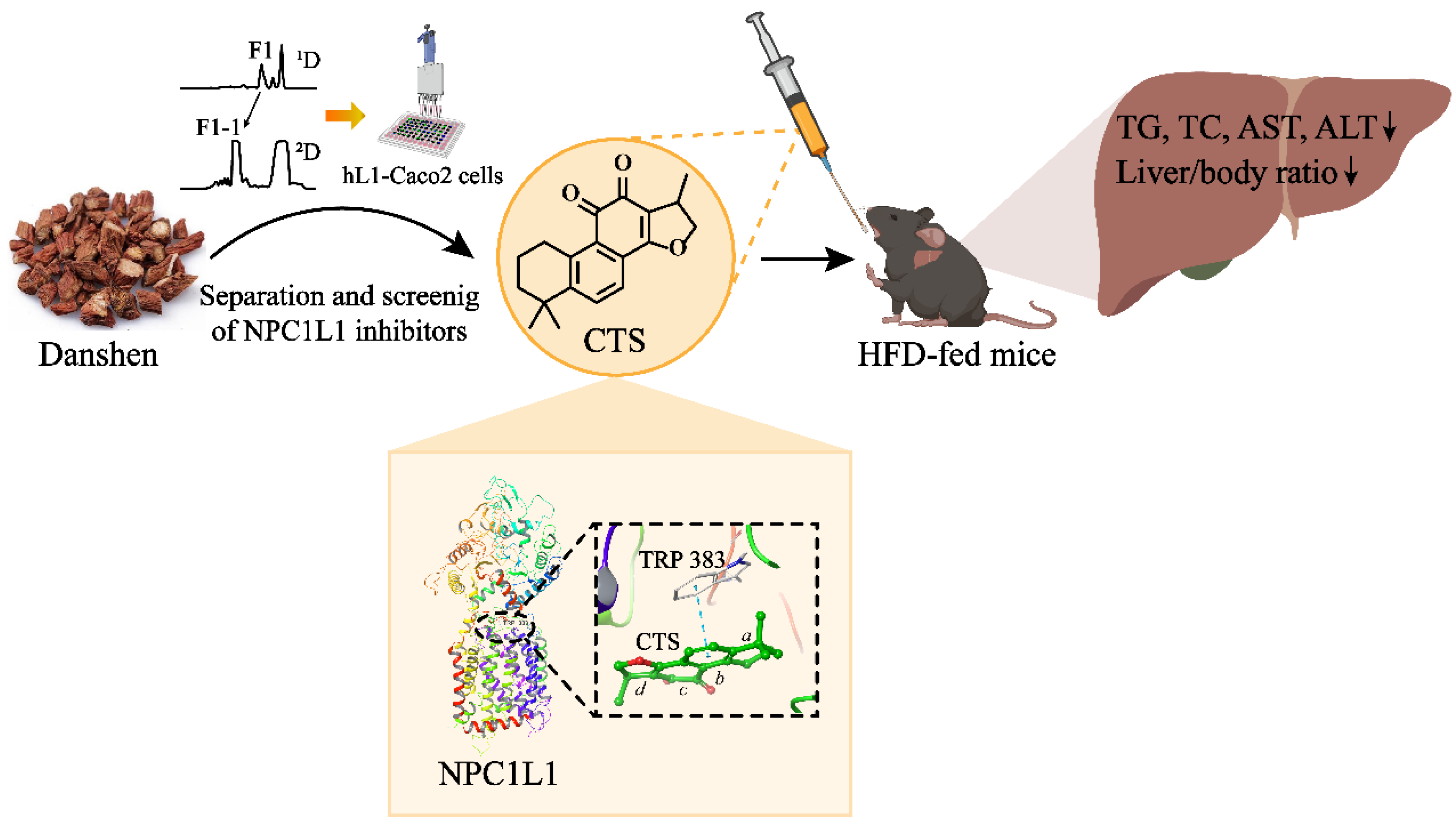 Preprints 147742 g006