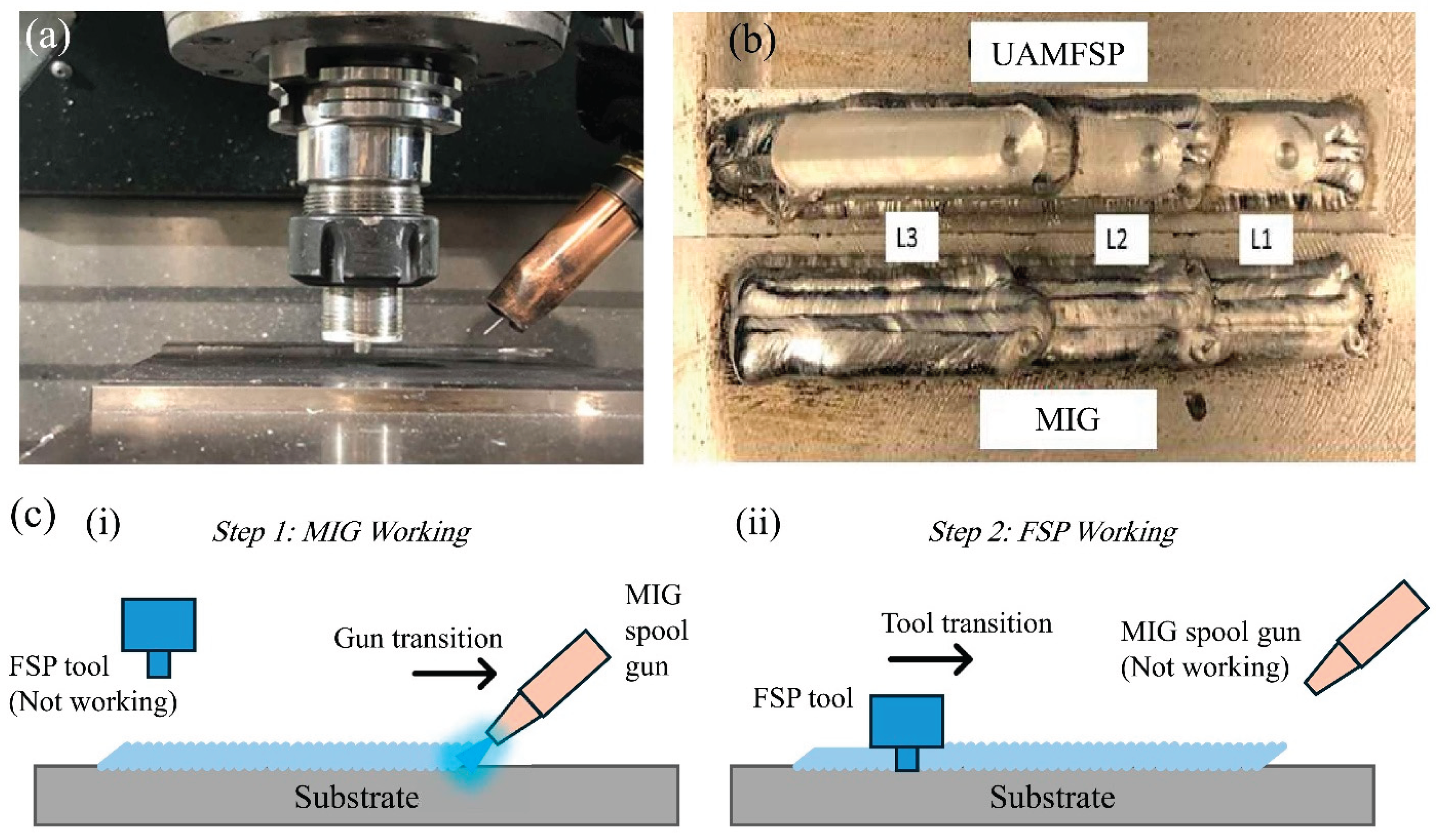 Preprints 192078 g001
