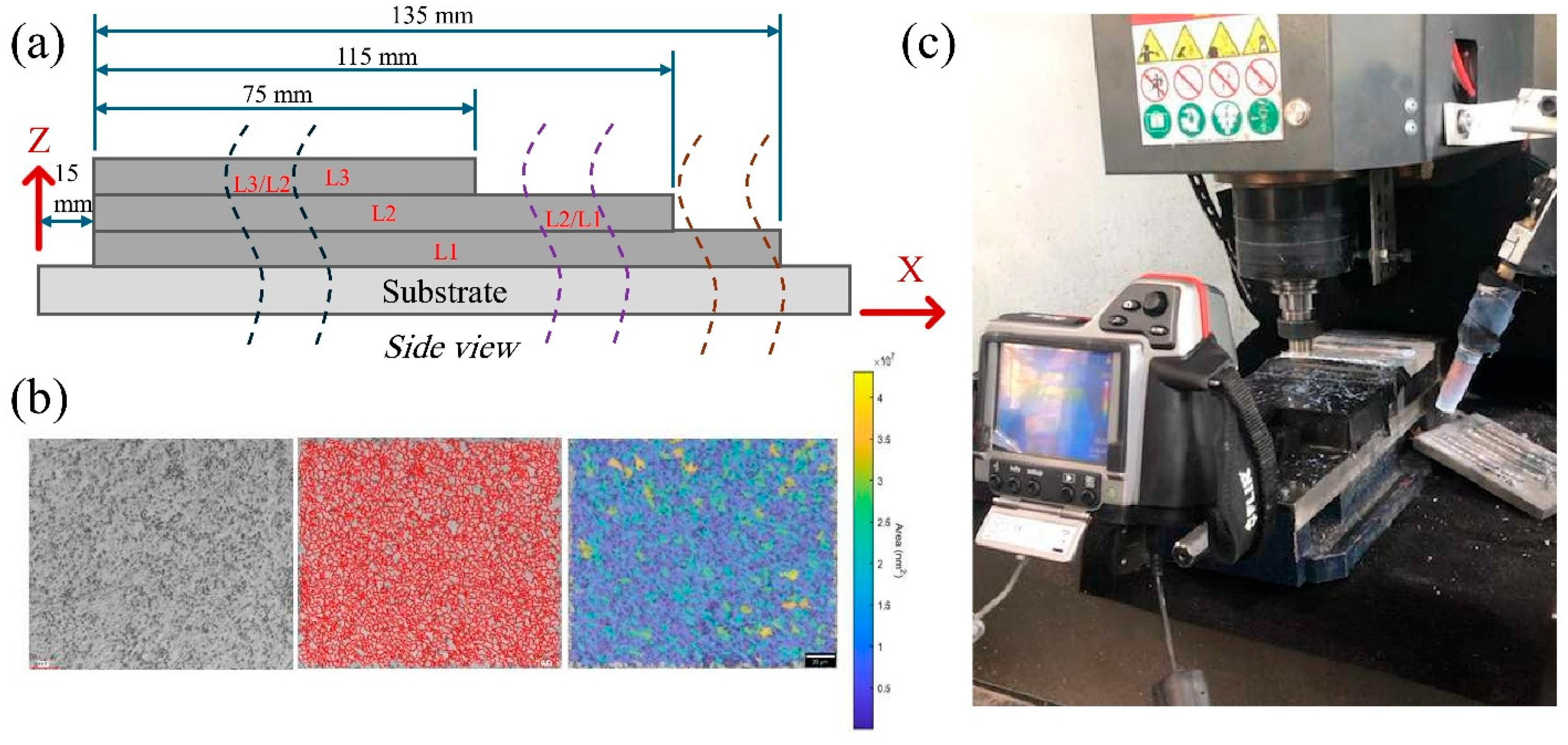 Preprints 192078 g002