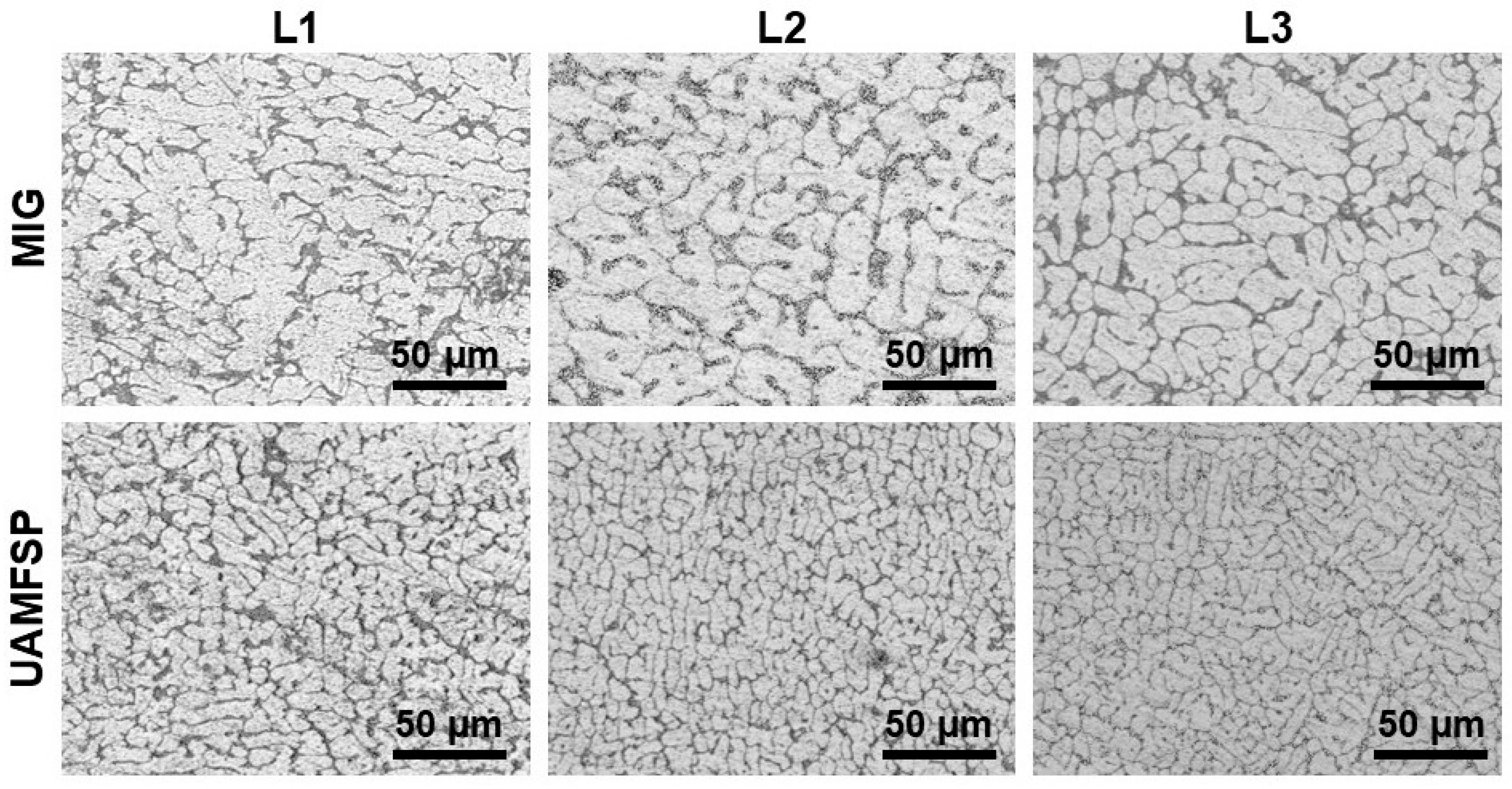 Preprints 192078 g003