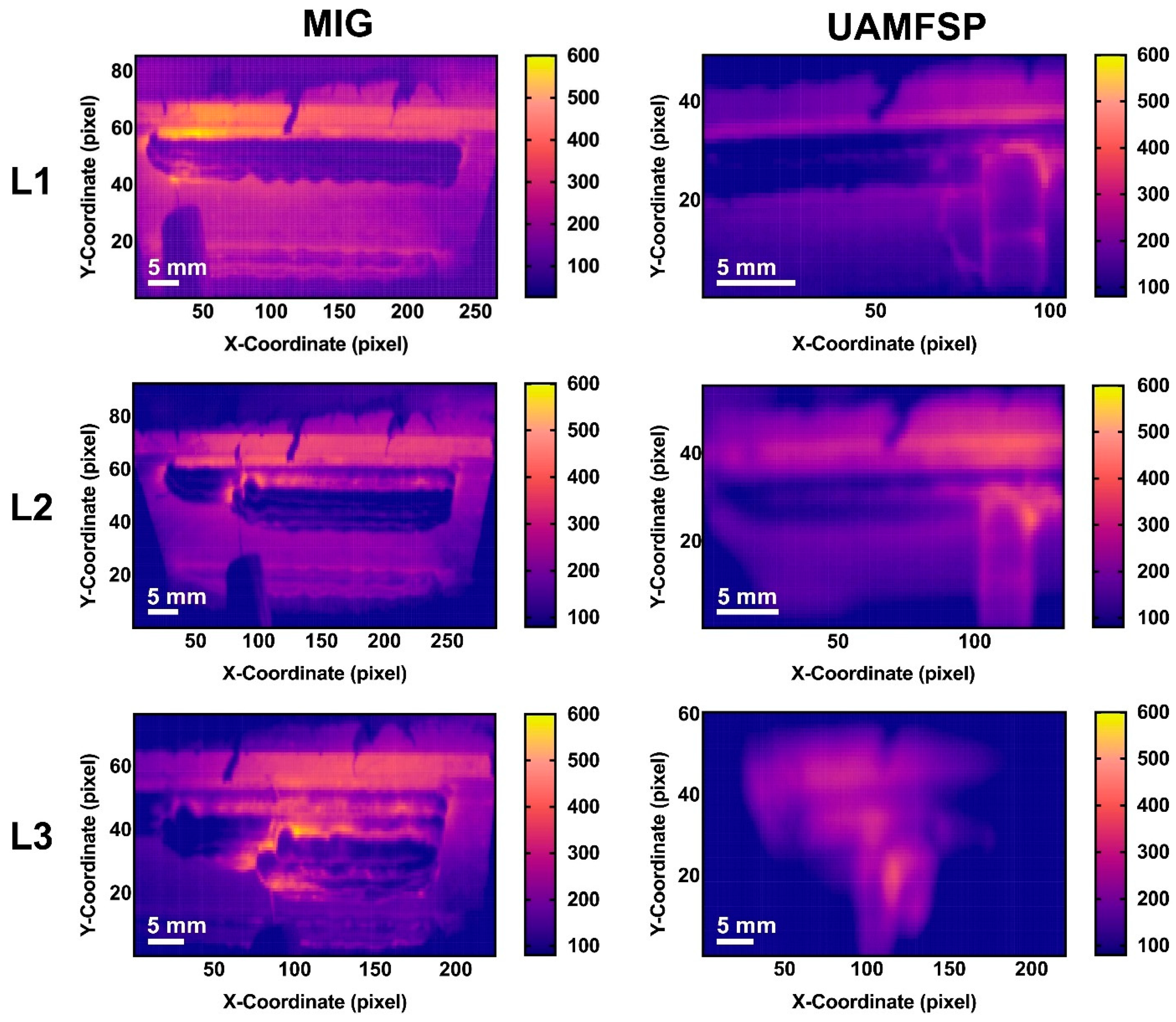 Preprints 192078 g006