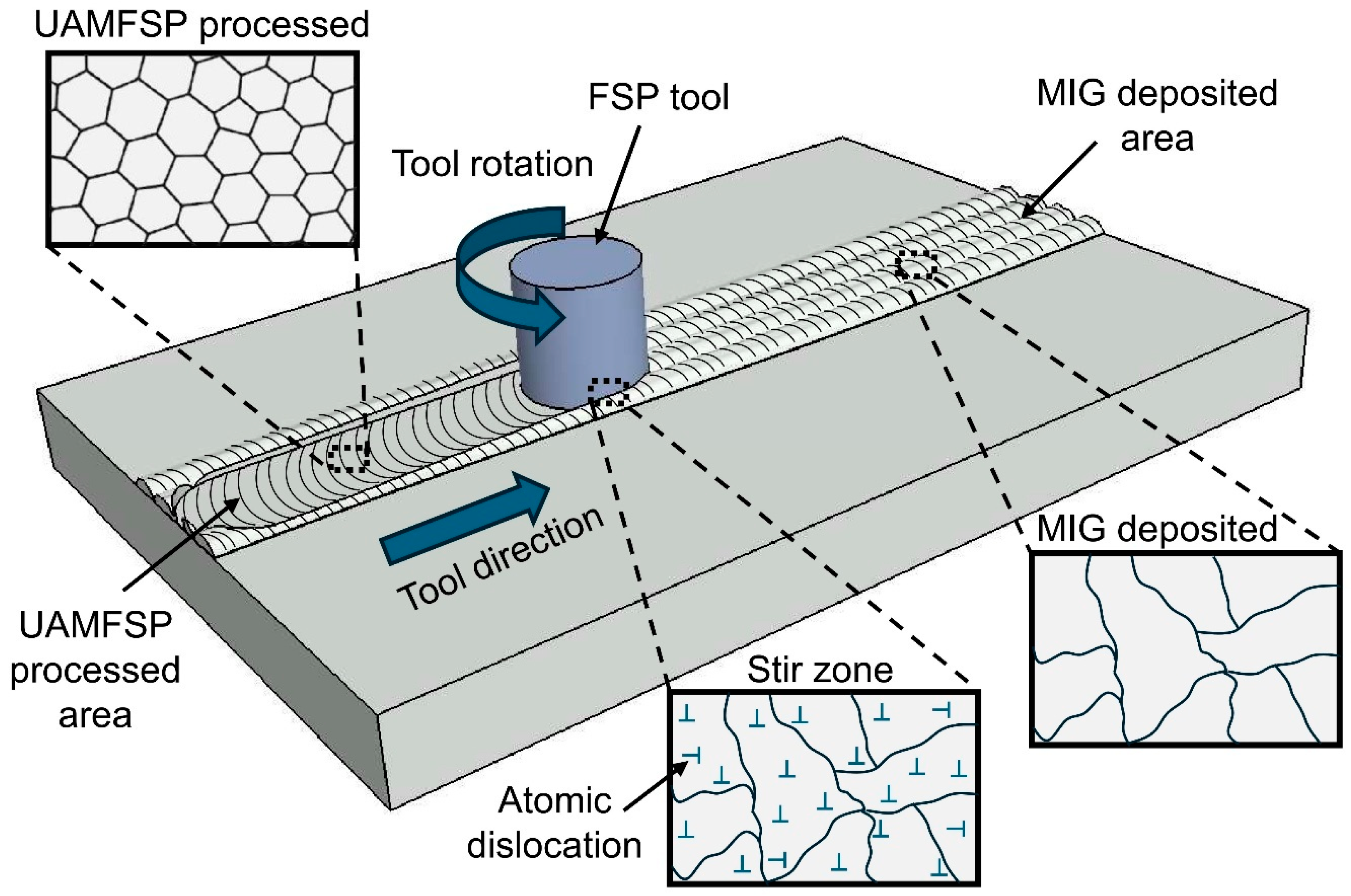 Preprints 192078 g010