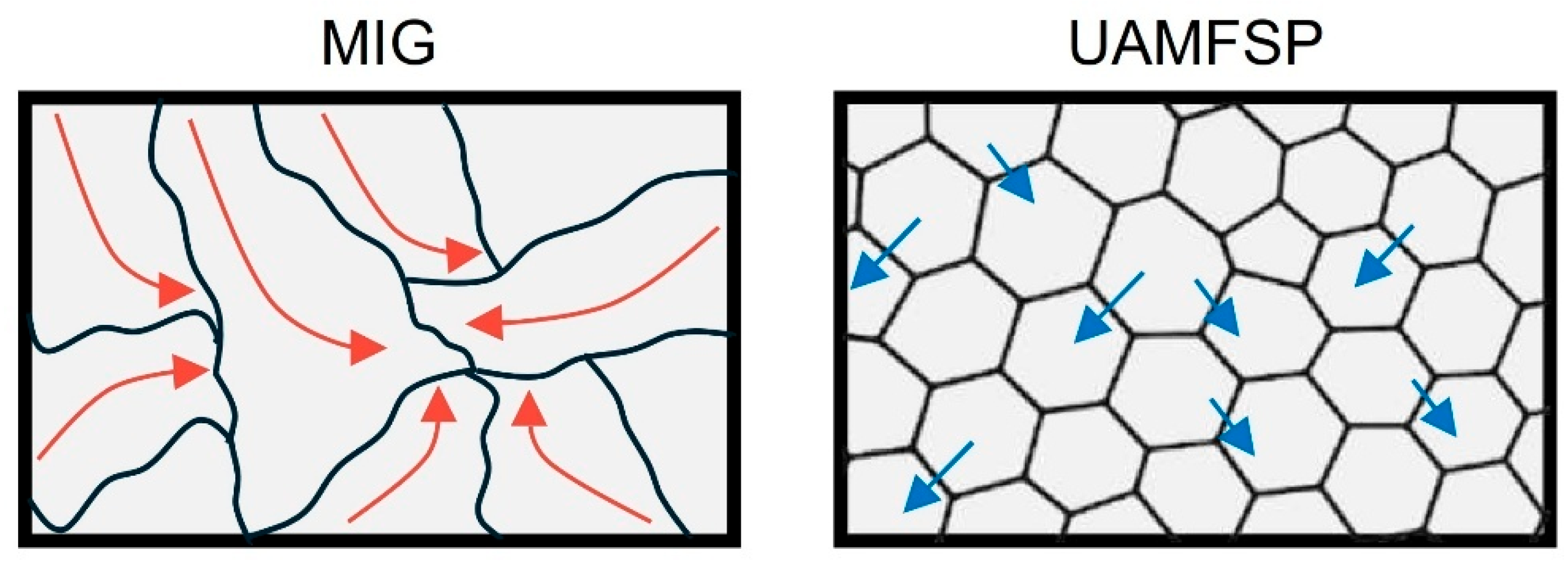 Preprints 192078 g011