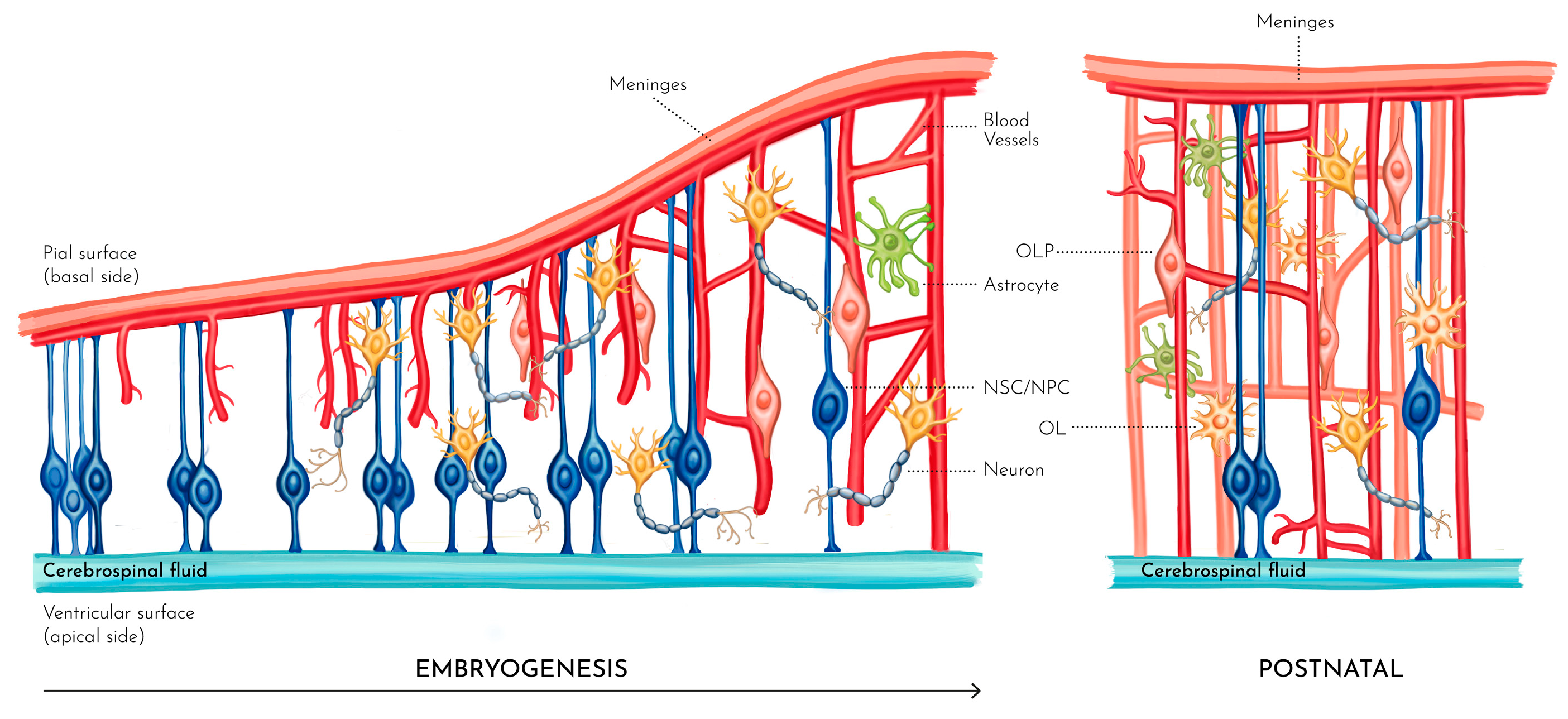 Preprints 148143 g002