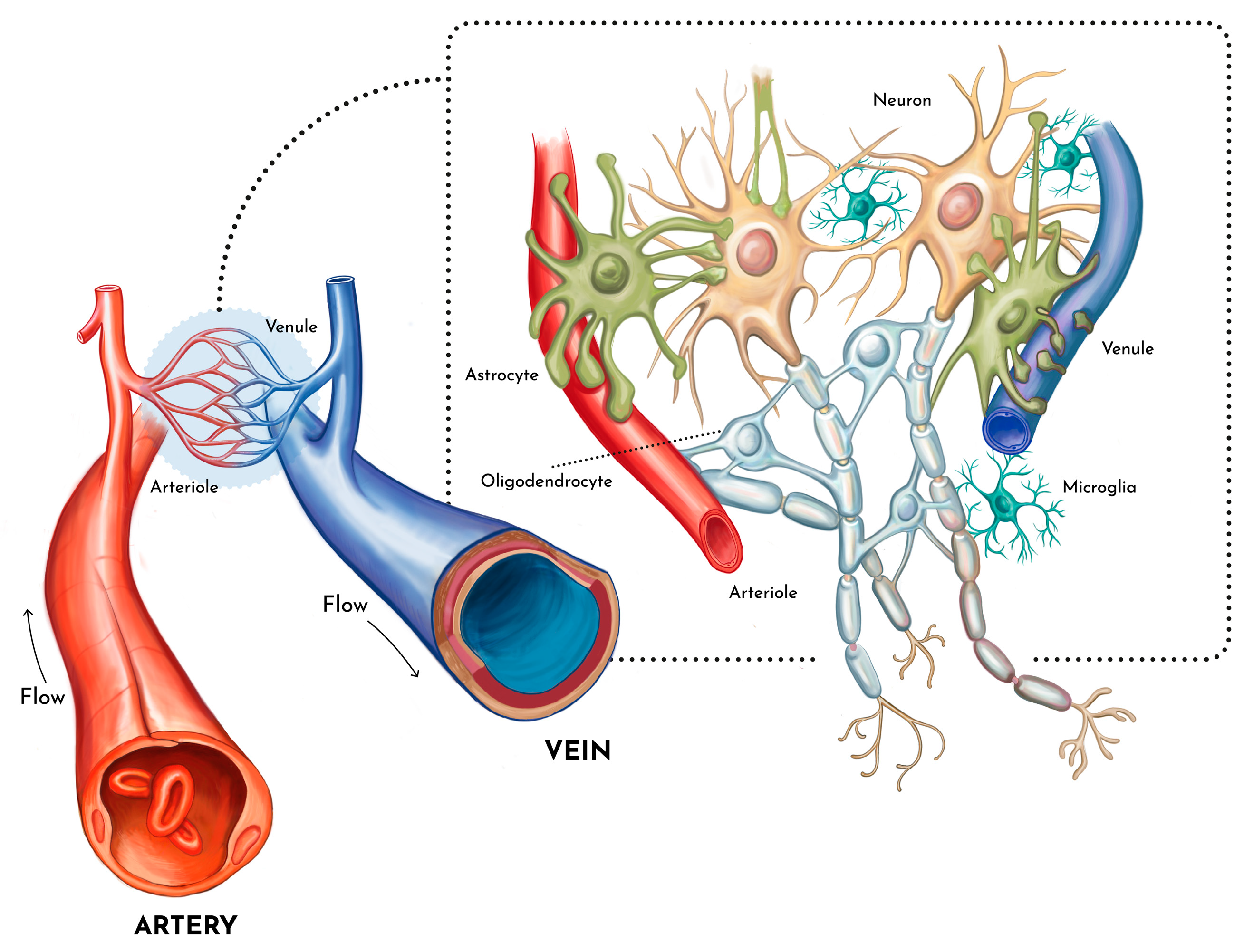 Preprints 148143 g003