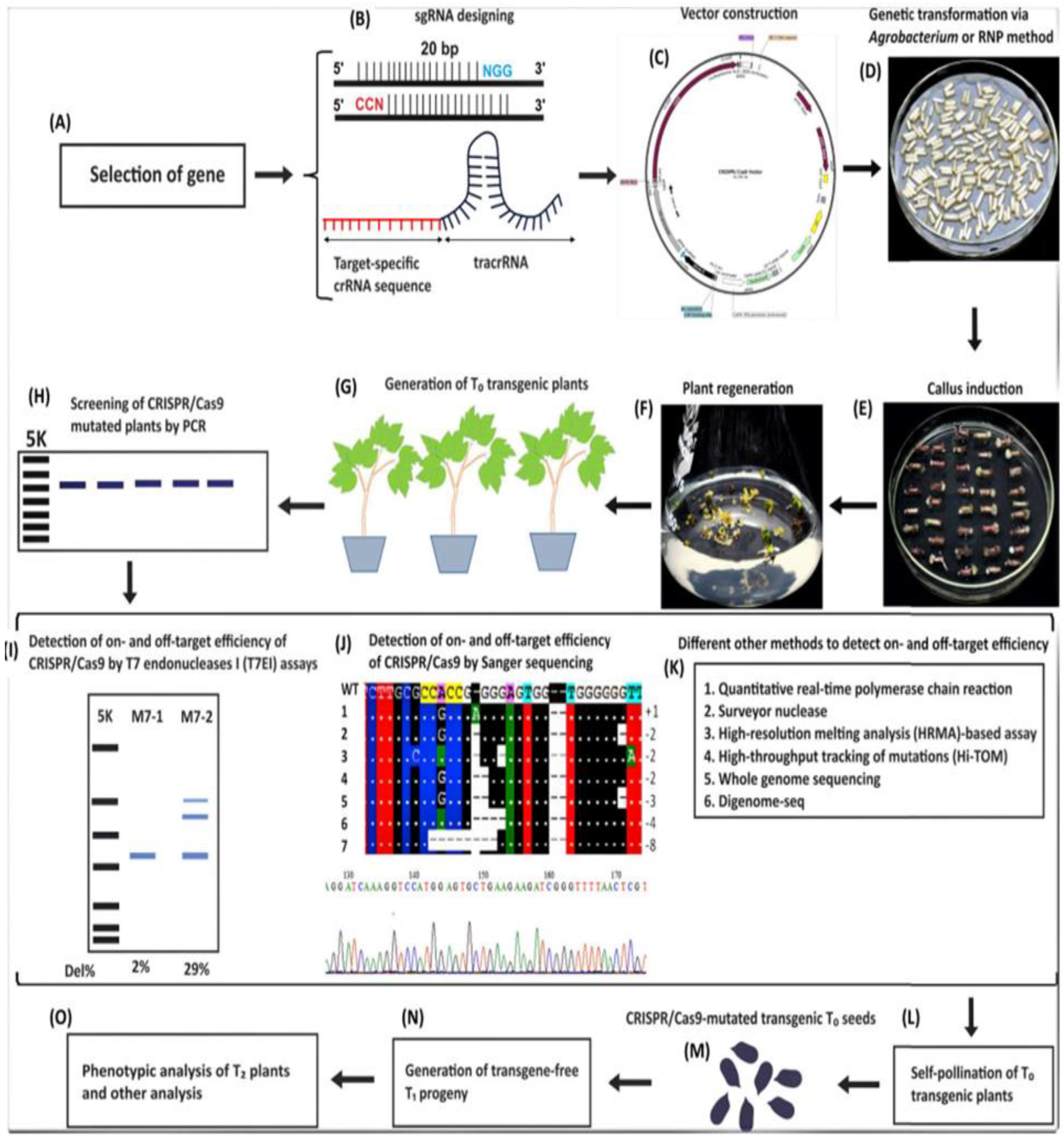 Preprints 187870 g003
