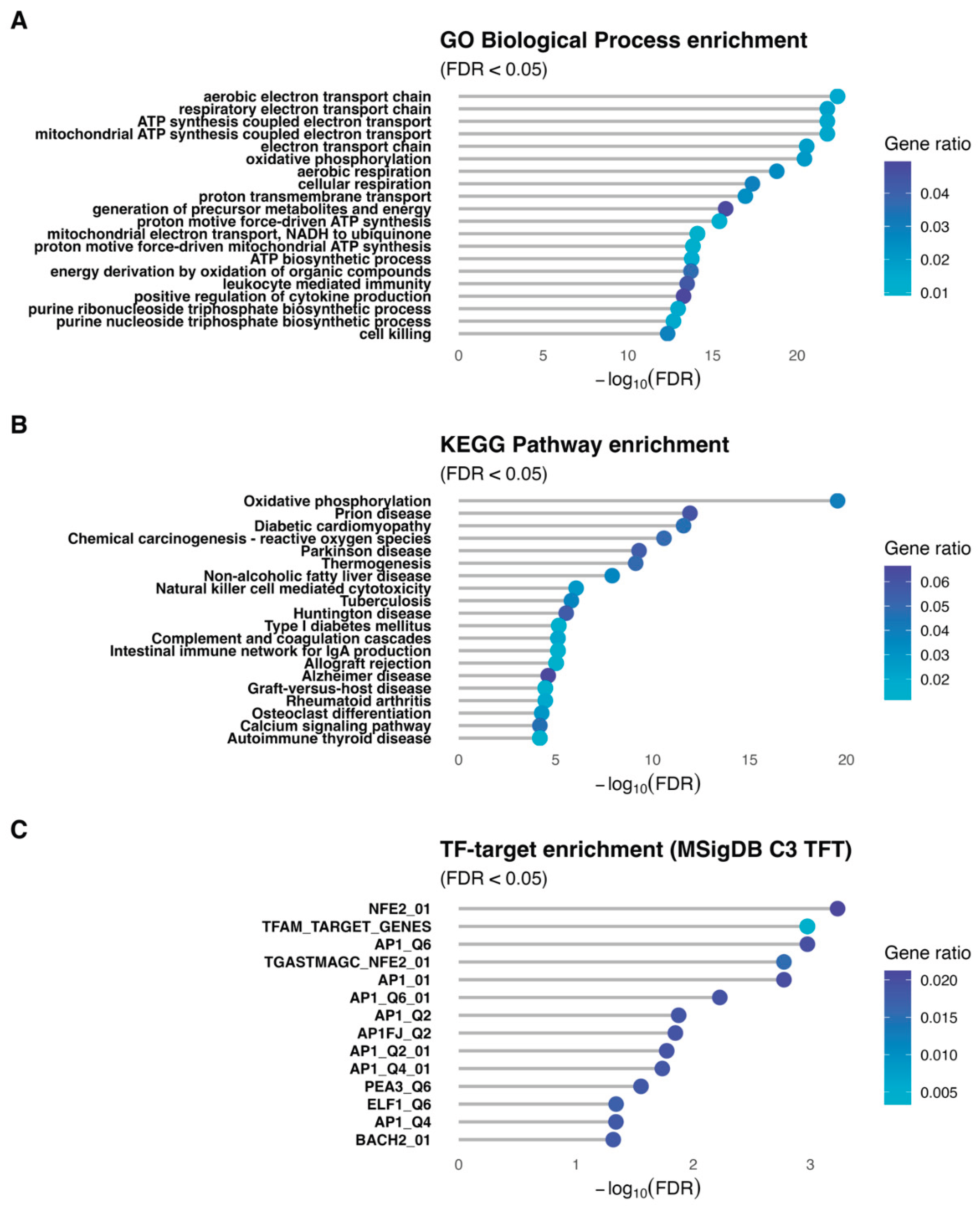 Preprints 192430 g006