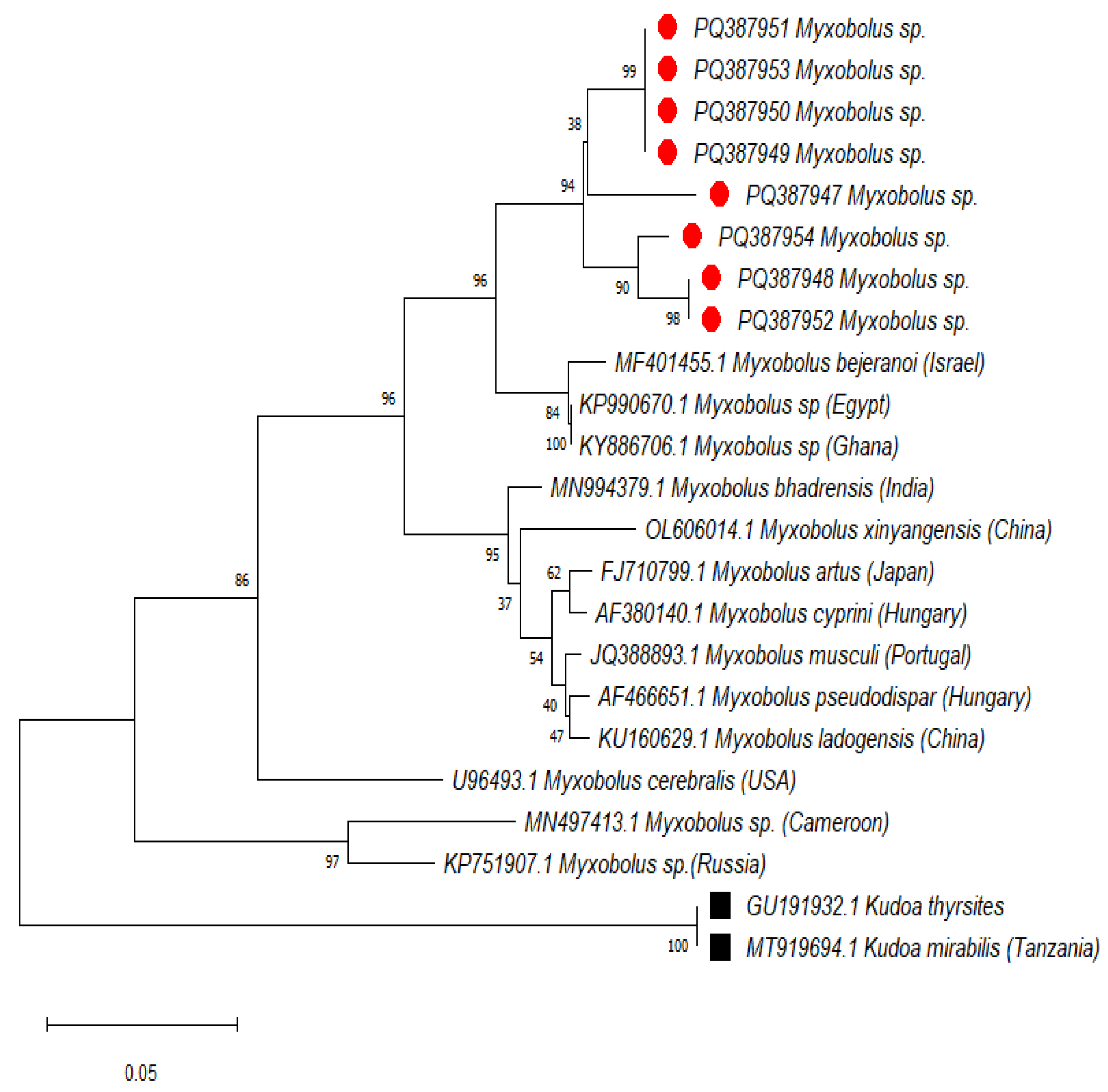 Preprints 143299 g003