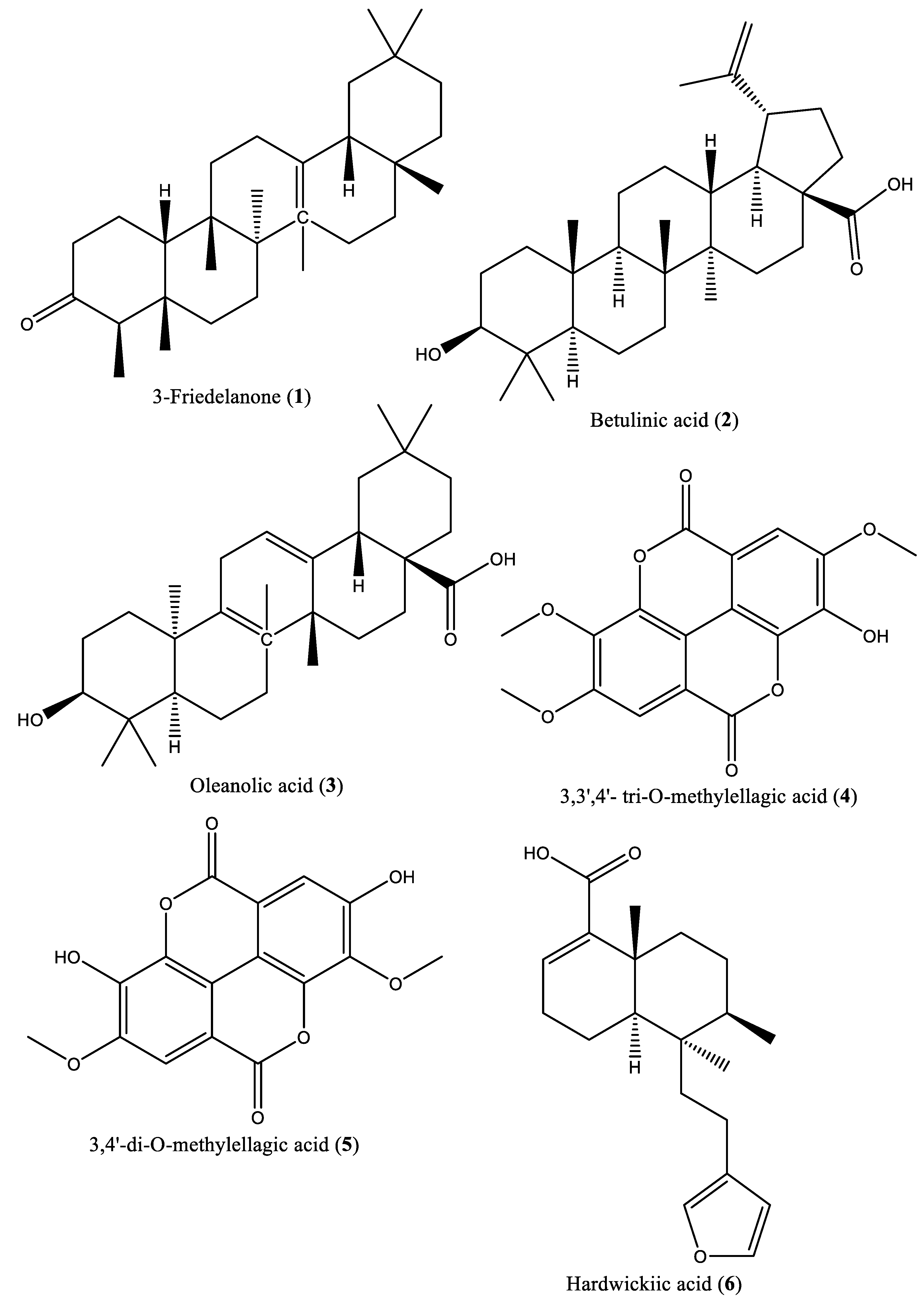 Preprints 83376 g001a