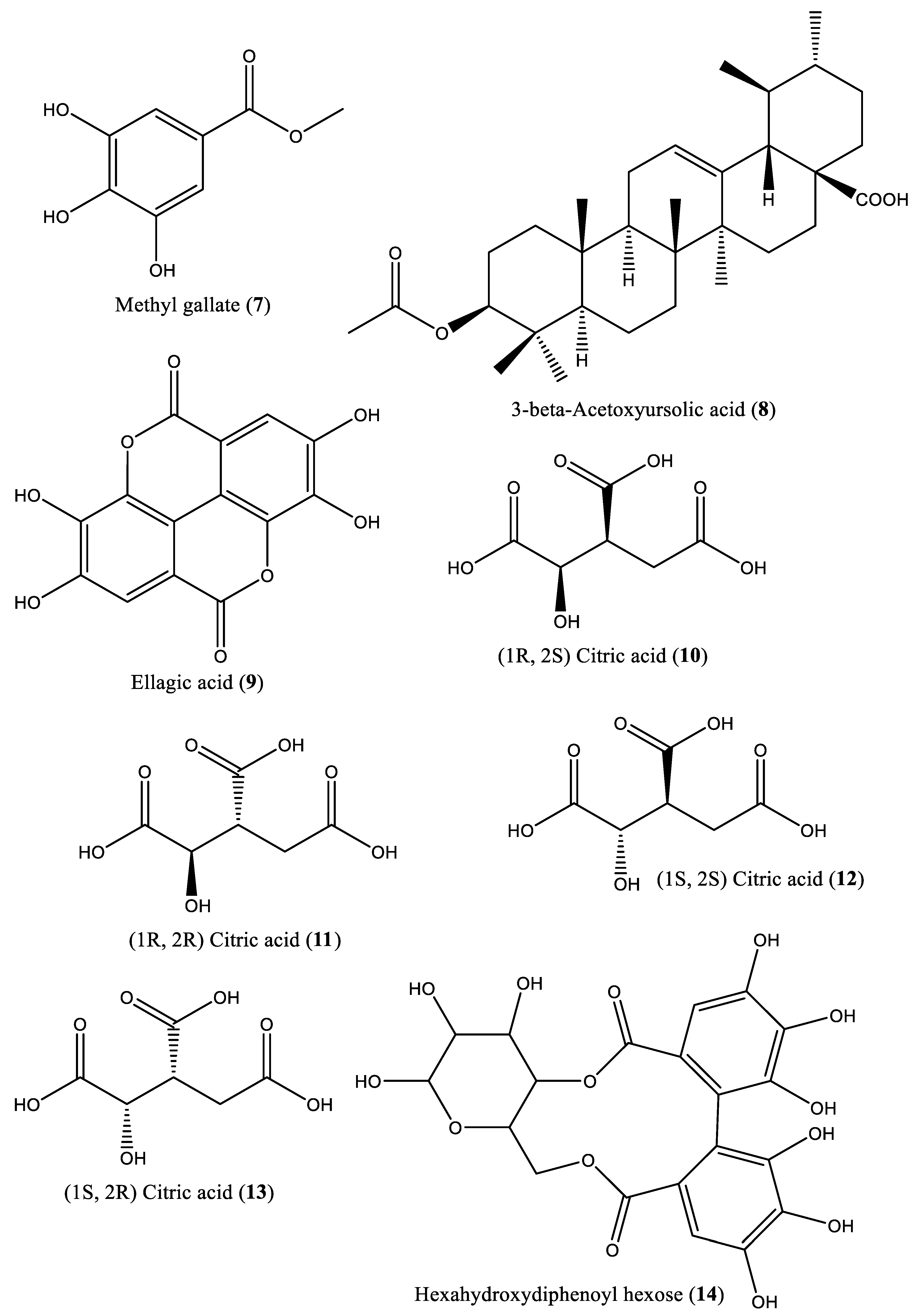 Preprints 83376 g001b
