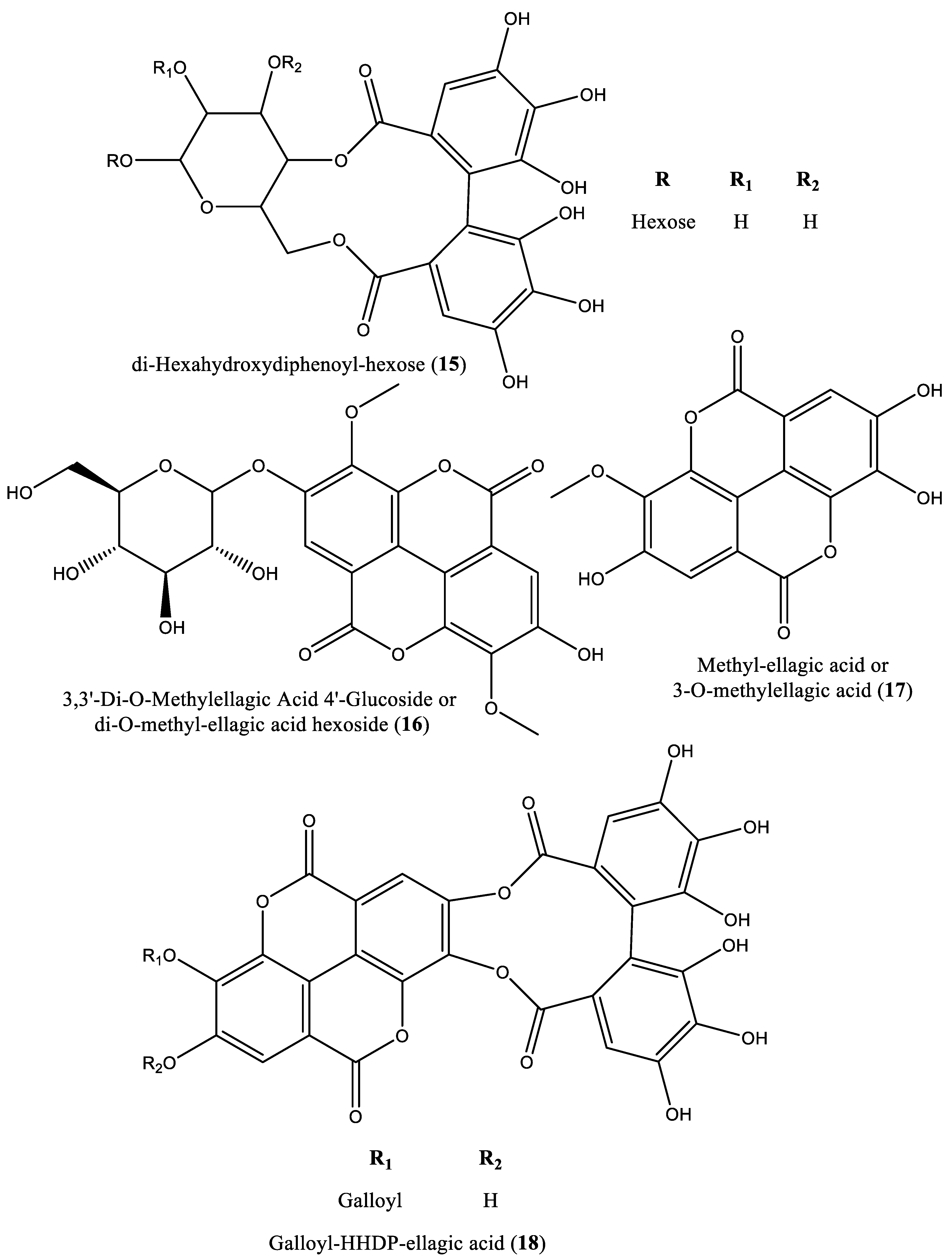 Preprints 83376 g001c