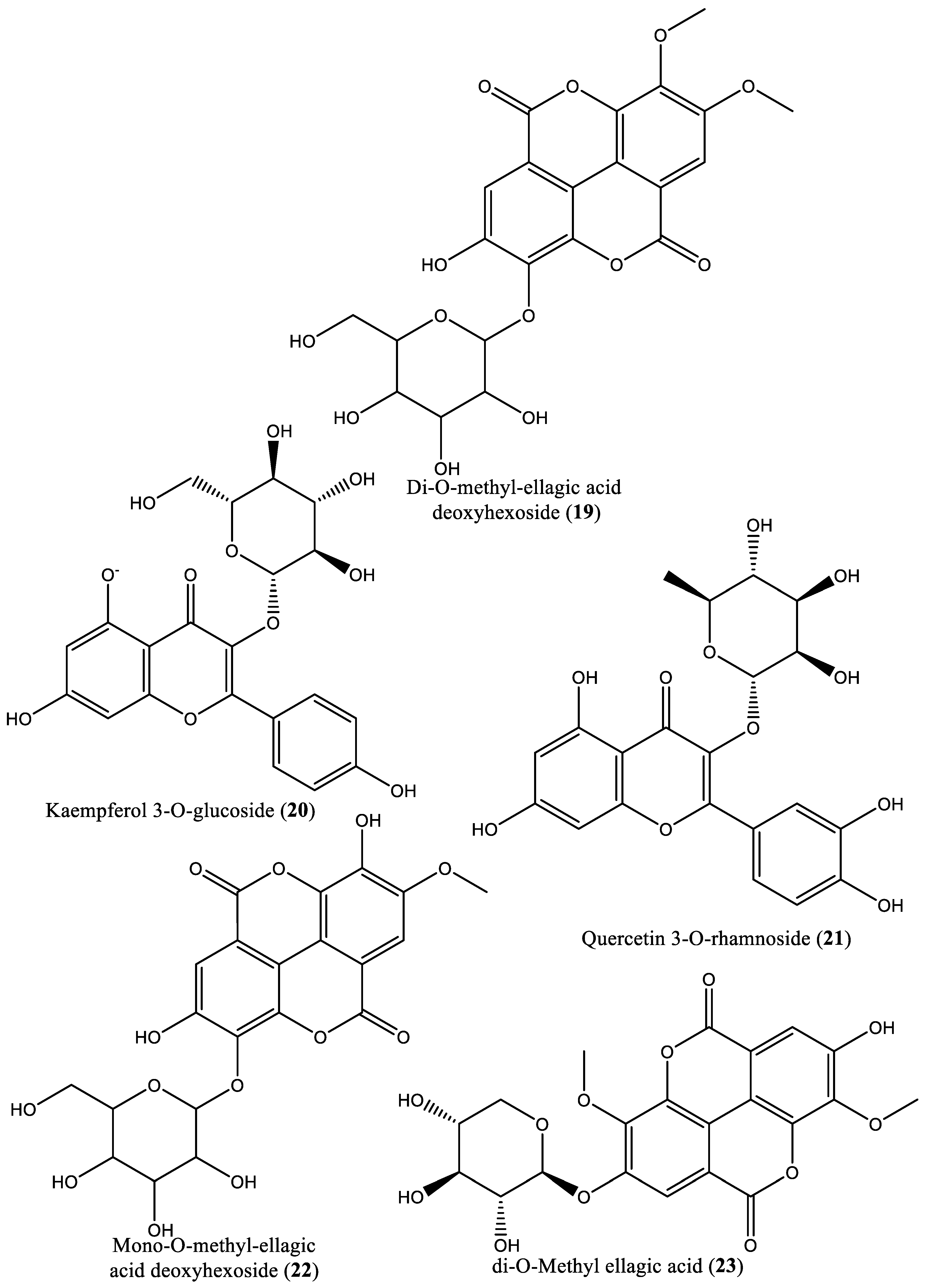 Preprints 83376 g001d