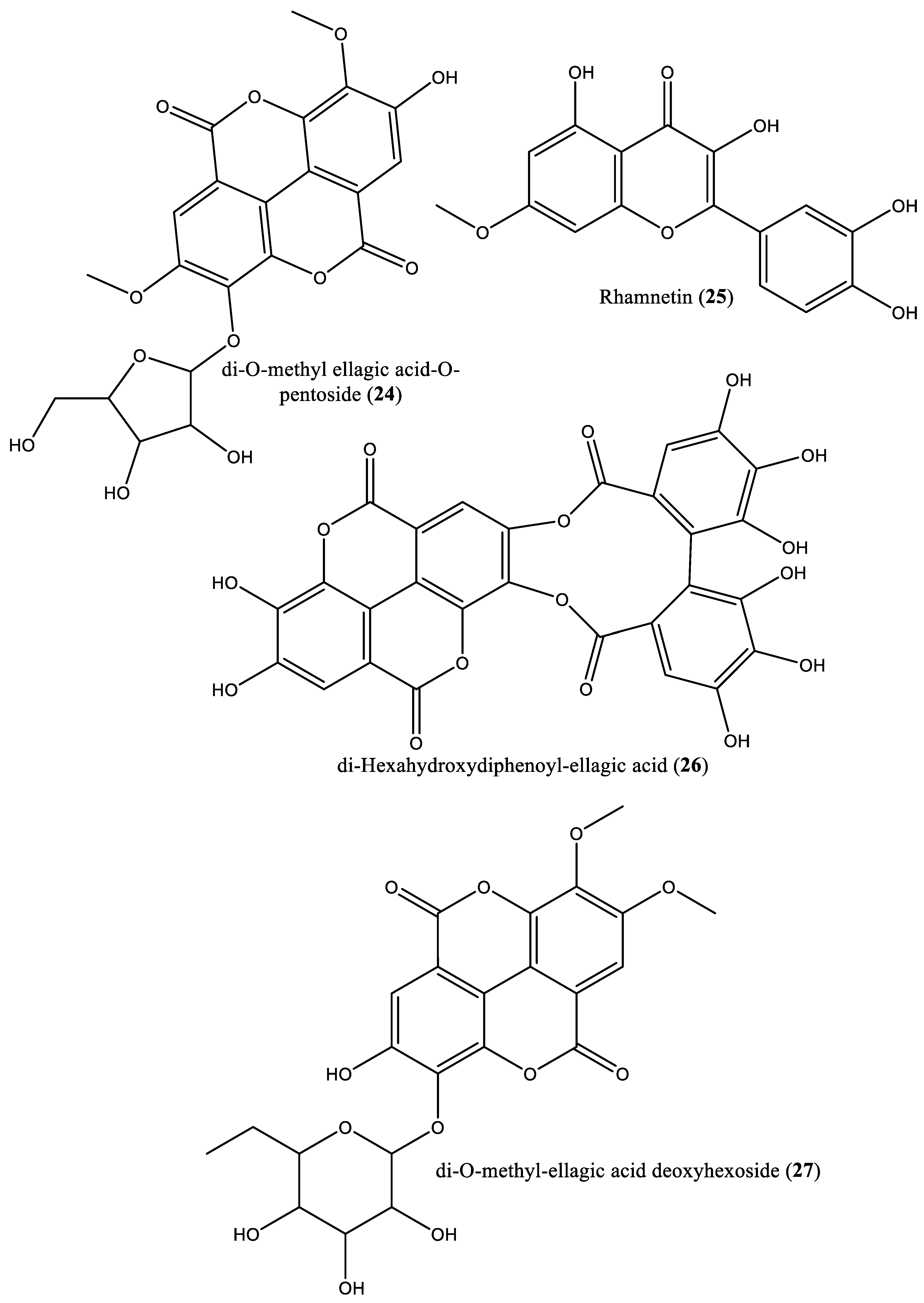 Preprints 83376 g001e