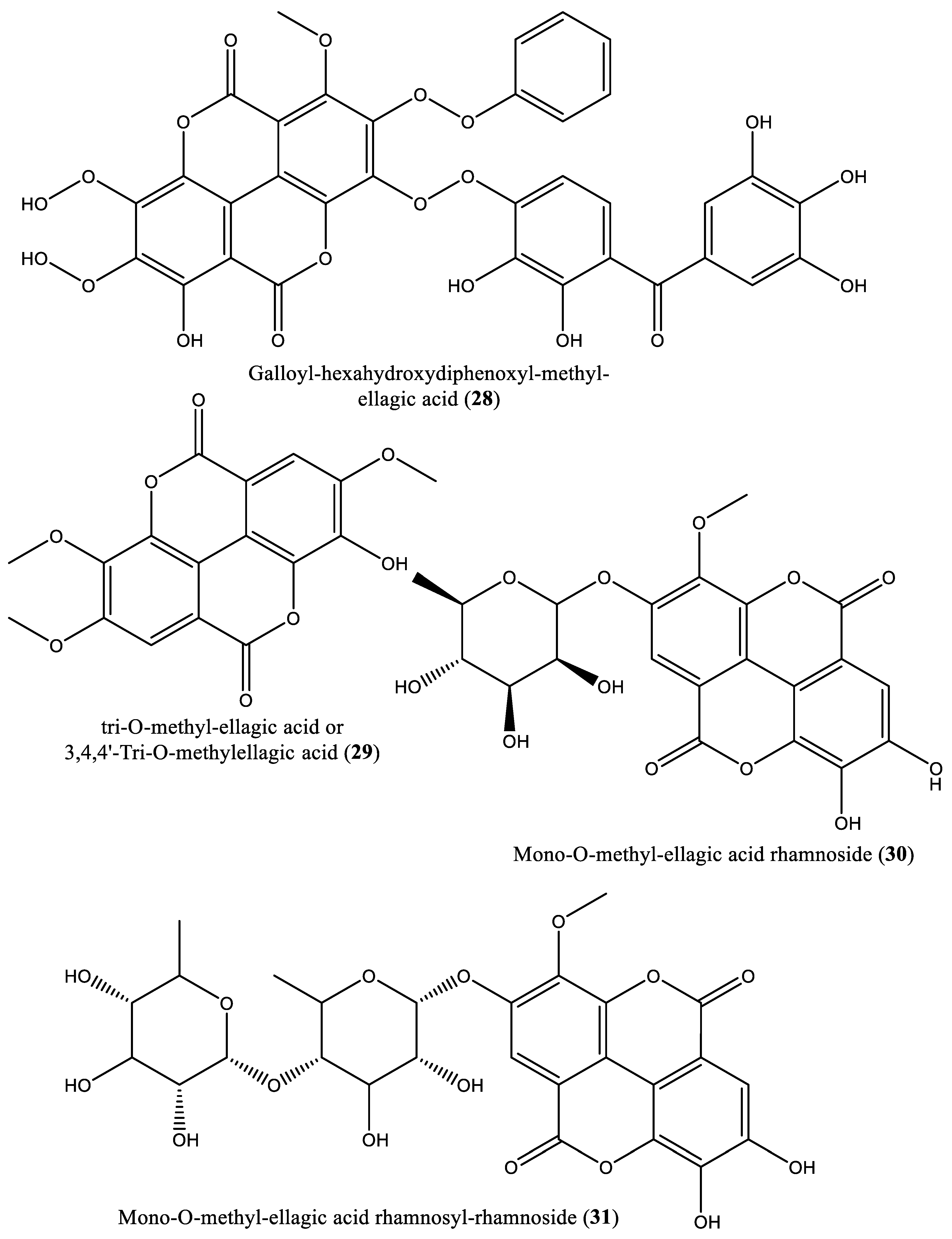 Preprints 83376 g001f