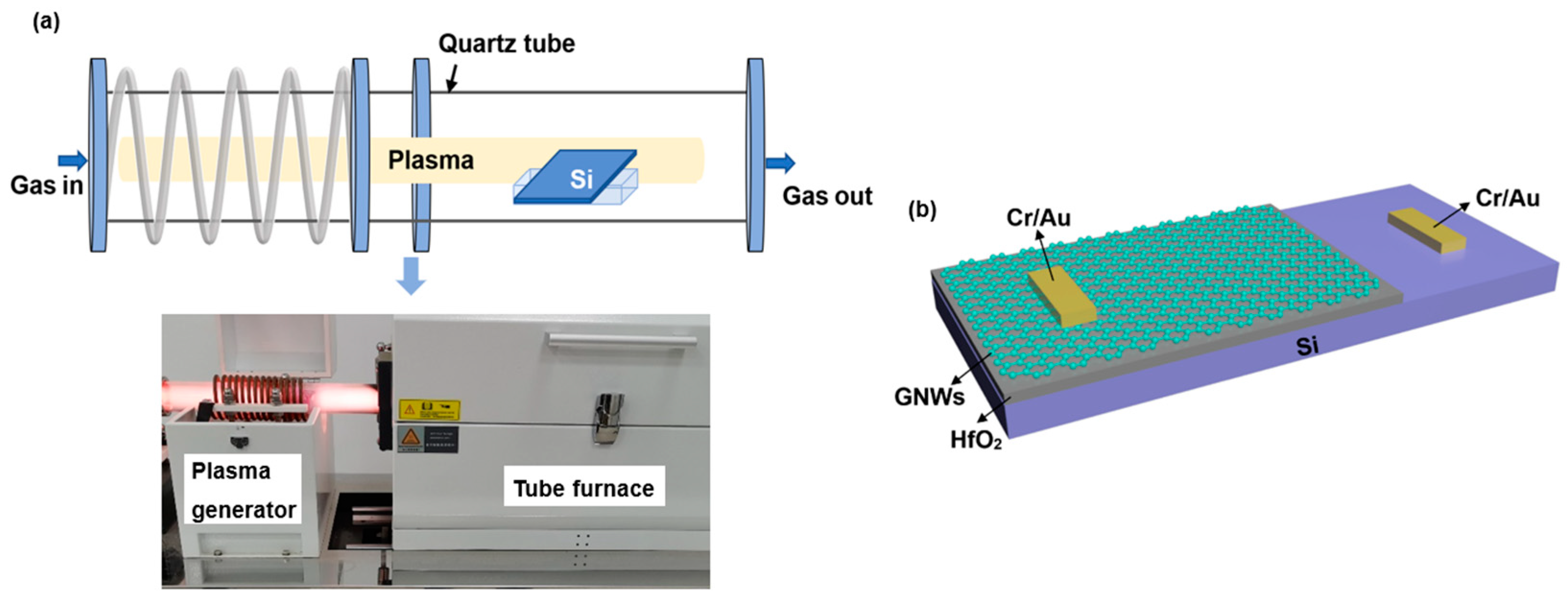 Preprints 72631 g001