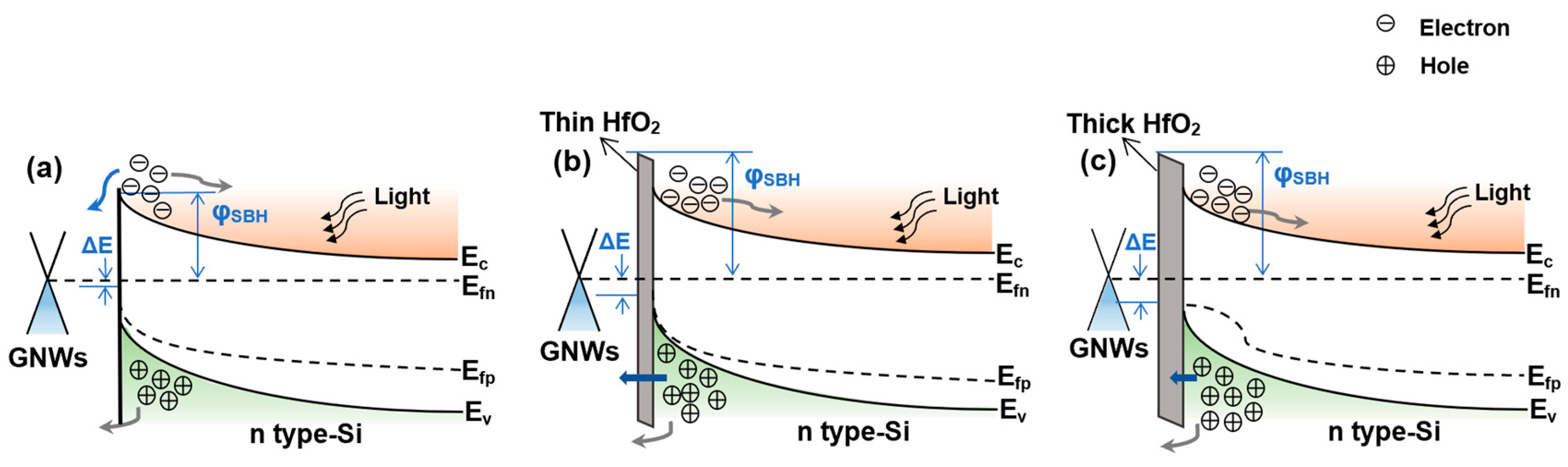 Preprints 72631 g007