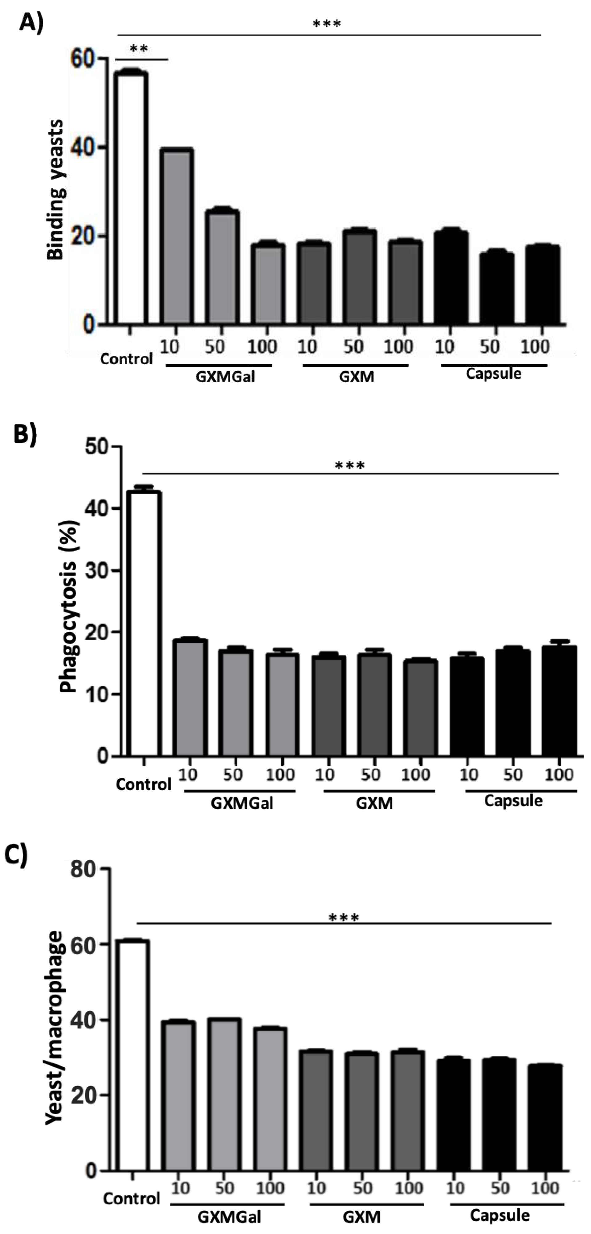 Preprints 97265 g002