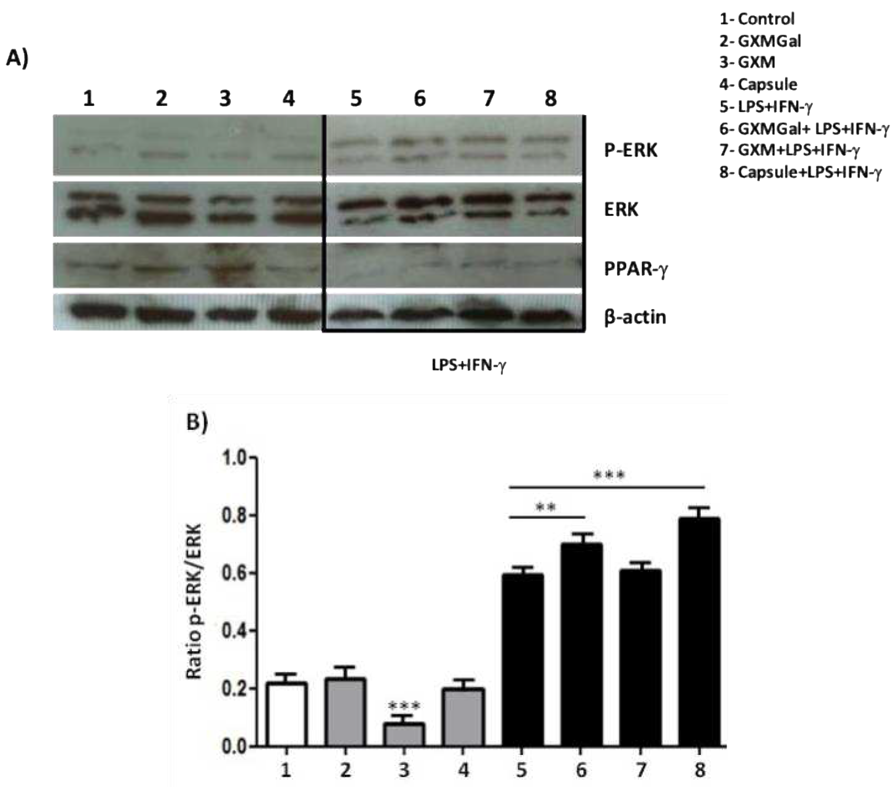 Preprints 97265 g007a