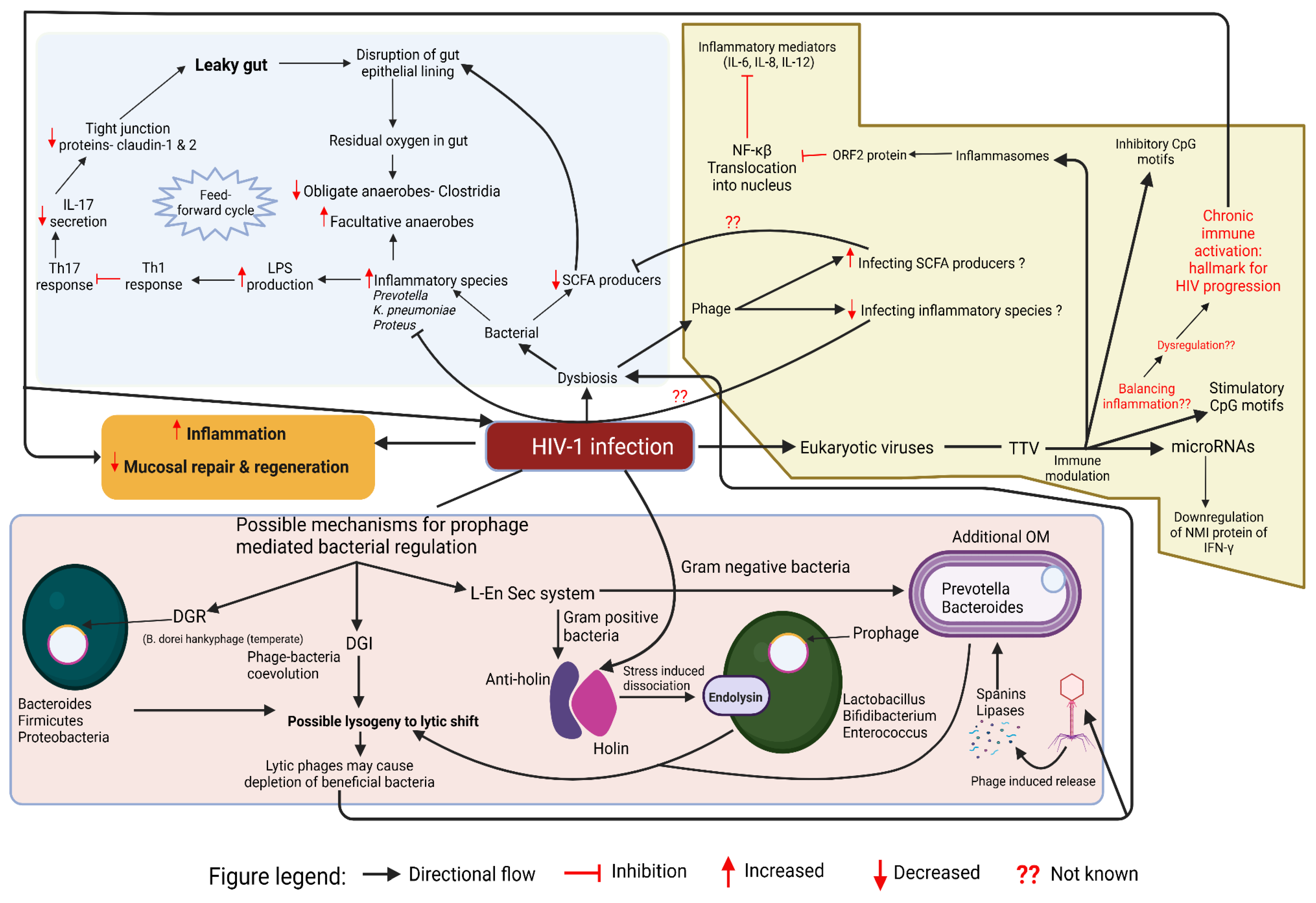 Preprints 160098 g003