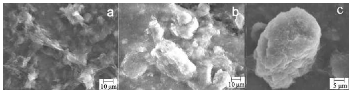 Preprints 224471 g005