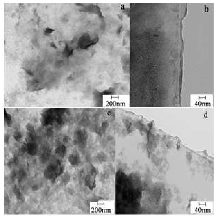 Preprints 224471 g006