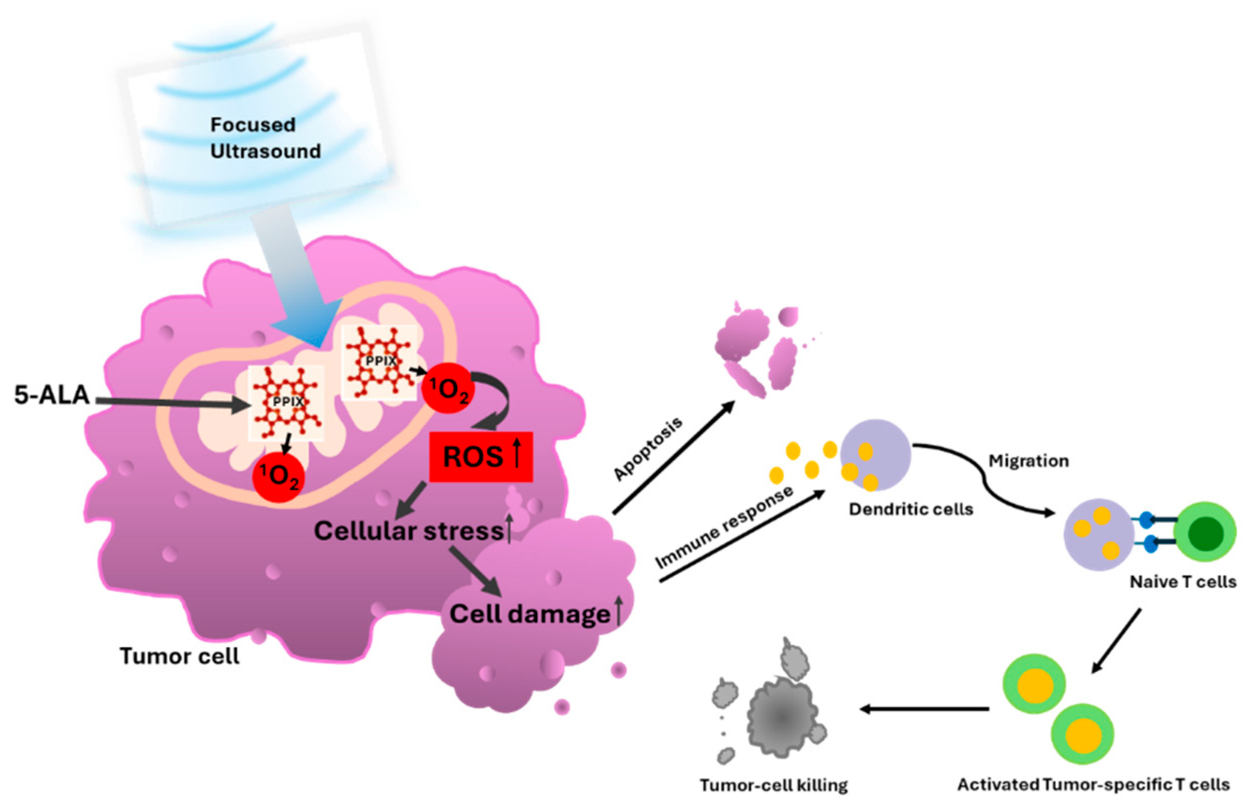 Preprints 153815 g001