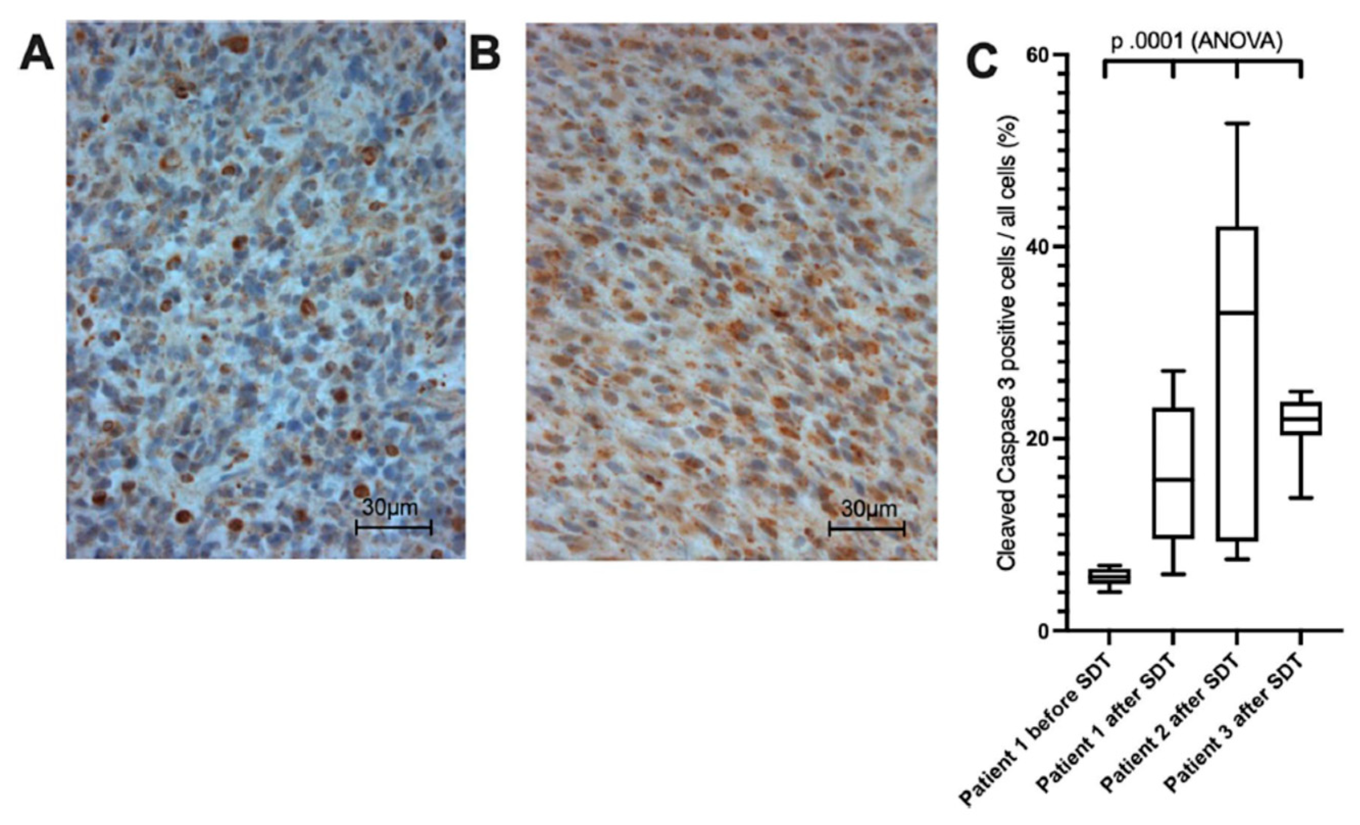 Preprints 153815 g004