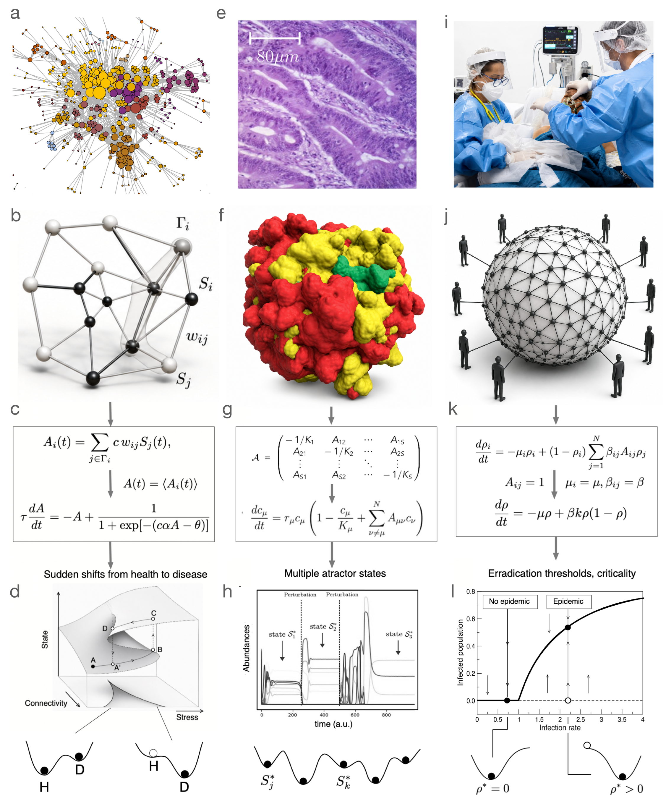 Preprints 220476 g001