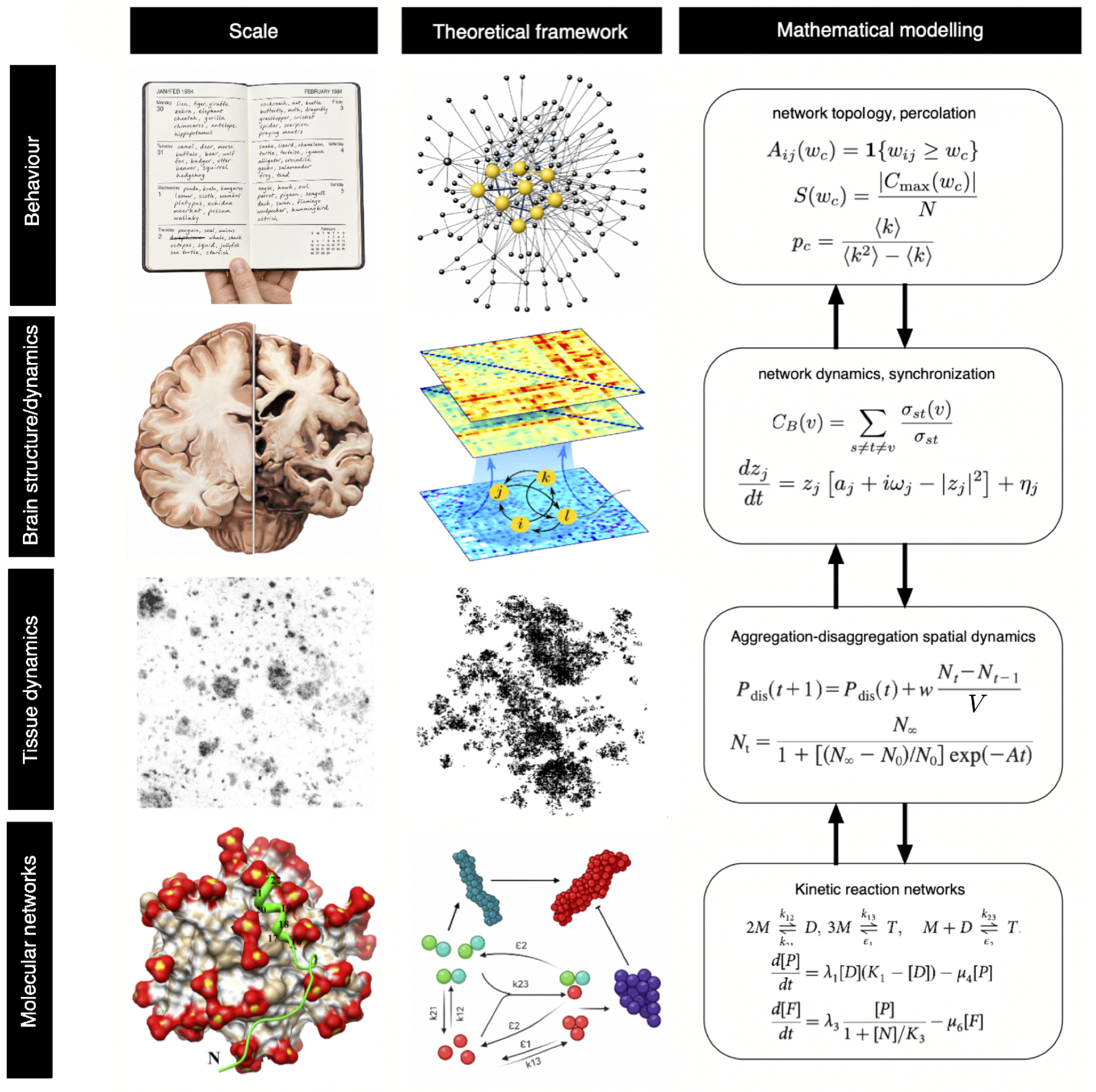 Preprints 220476 g002