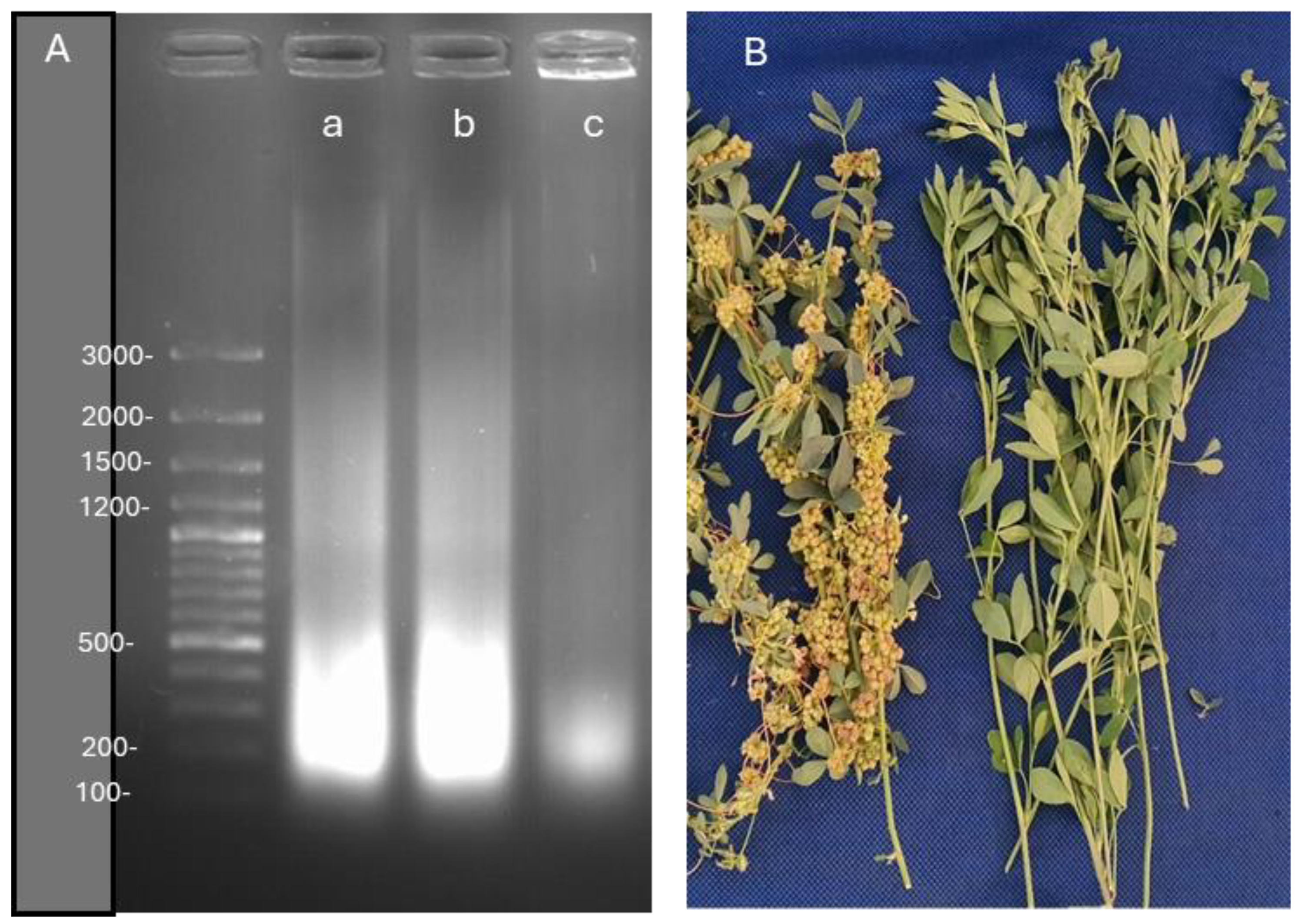 Preprints 182288 g016