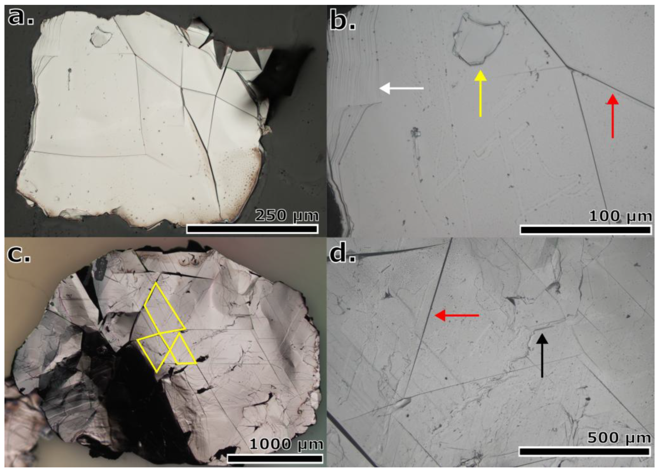 Preprints 199870 g002